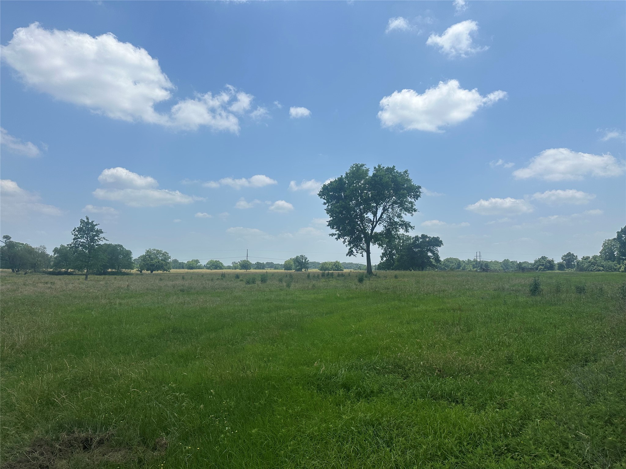 123ac Cr 234 Property Photo 22