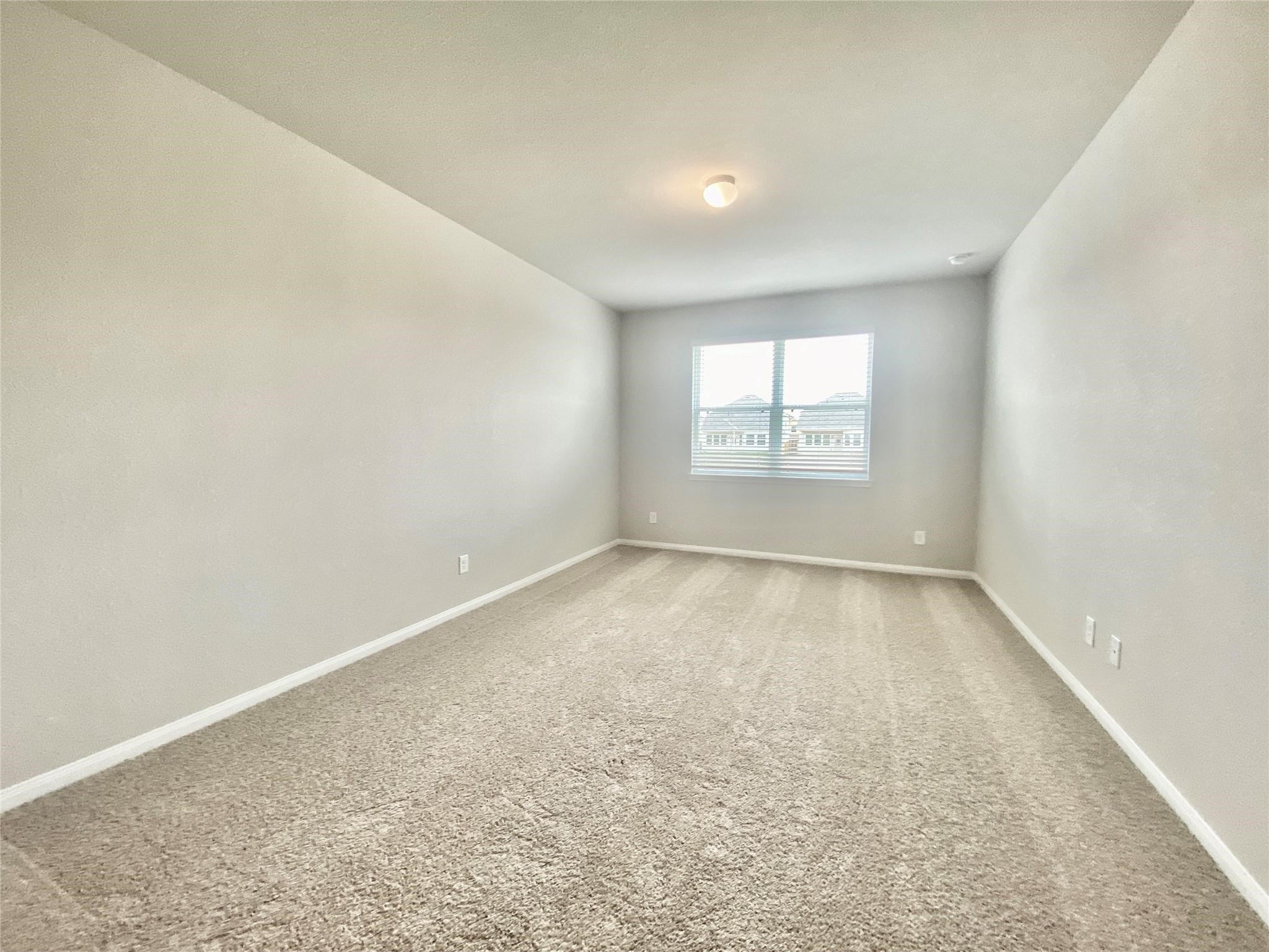 24639 Signorelli Way Property Photo 6