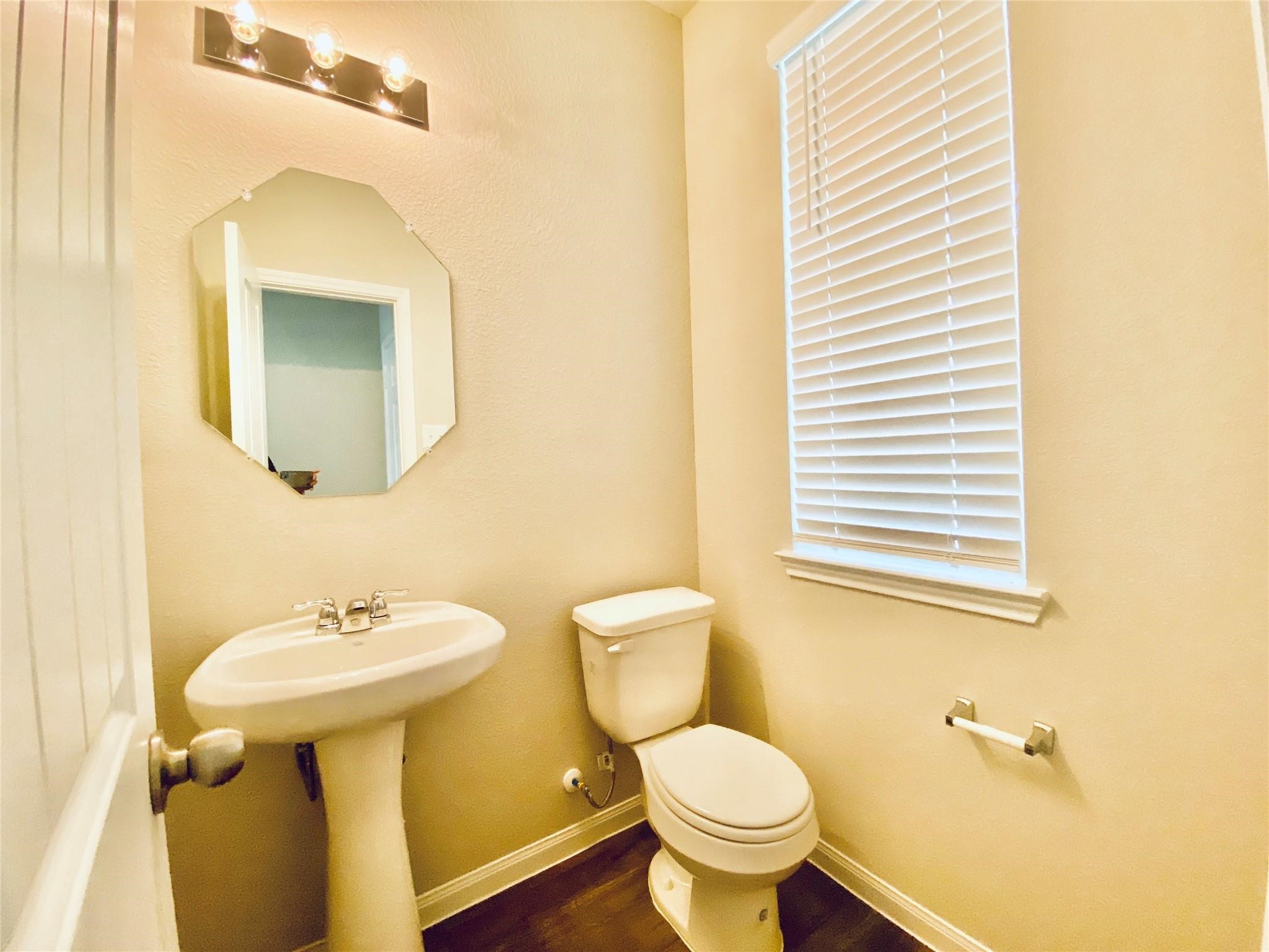 24639 Signorelli Way Property Photo 8