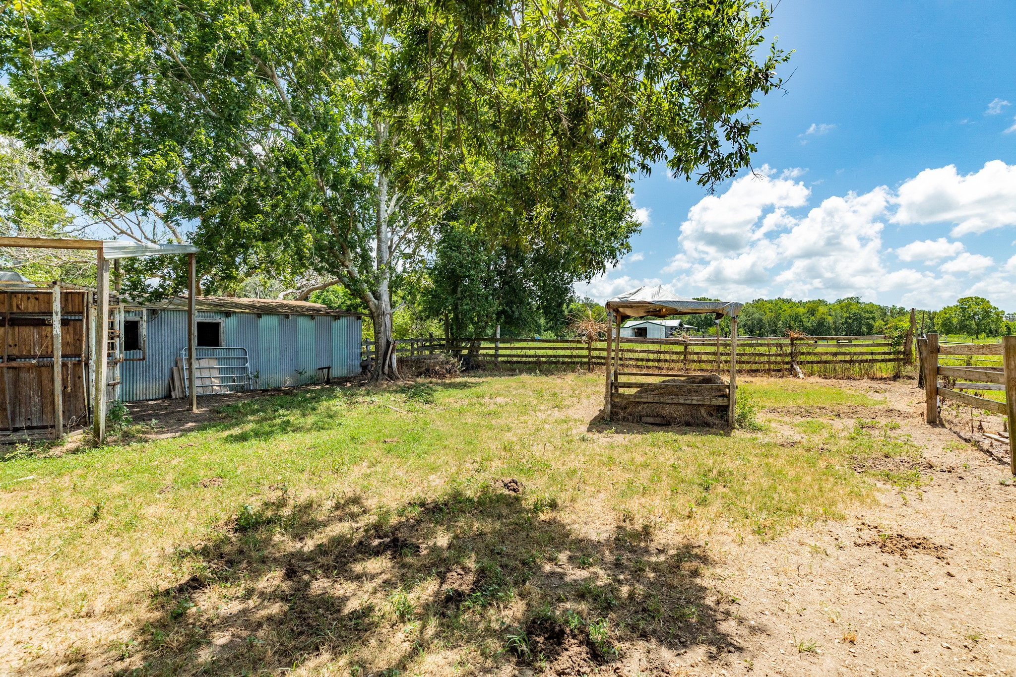 438 County Road 164 Property Photo 27