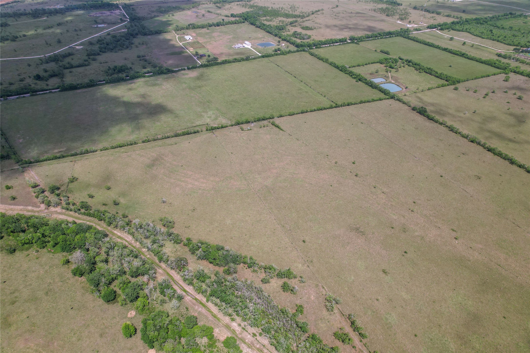 000 County Road 98 Property Photo 6