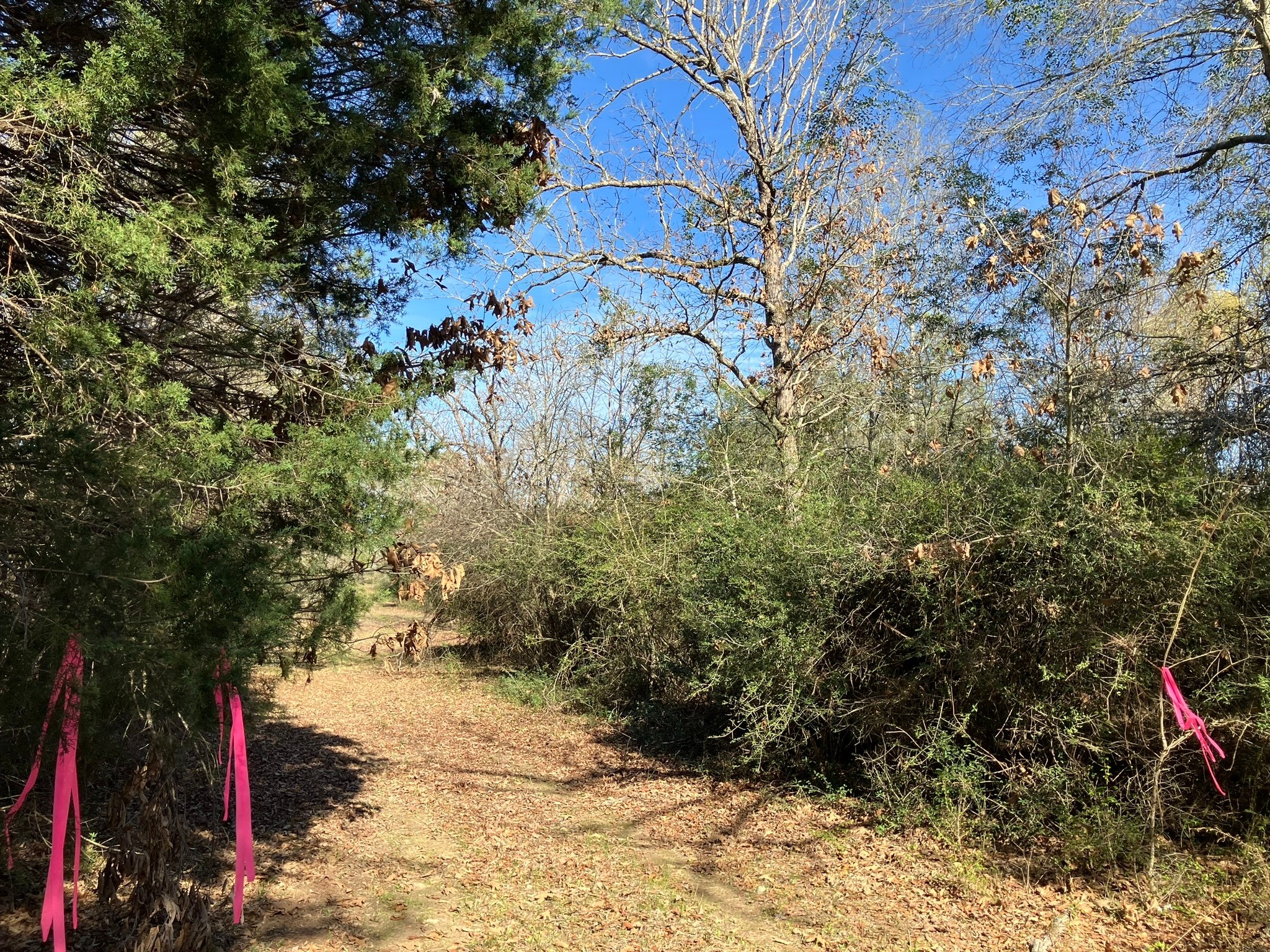 Tr32 High View Drive Property Photo 1