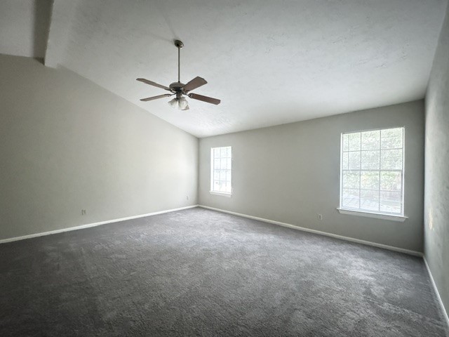311 Birch Hill Drive Property Photo 13