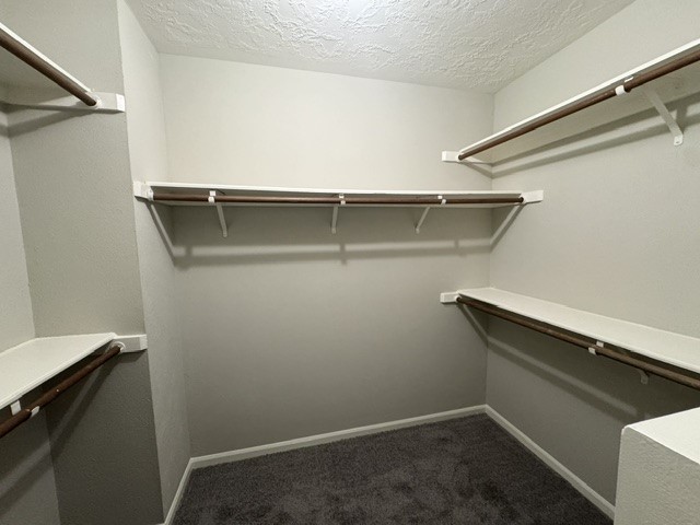 311 Birch Hill Drive Property Photo 16