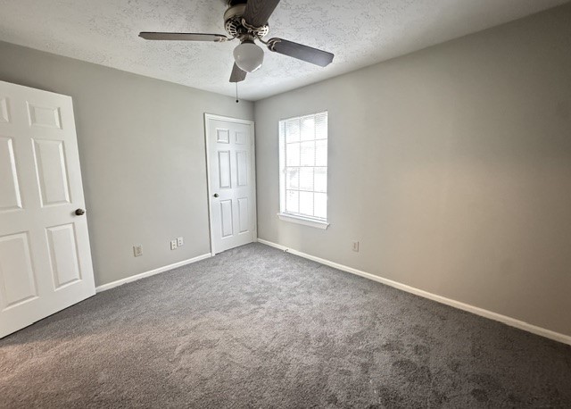 311 Birch Hill Drive Property Photo 18