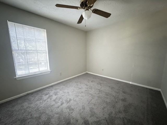 311 Birch Hill Drive Property Photo 19