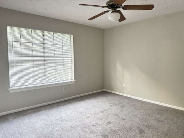 311 Birch Hill Drive Property Photo 21