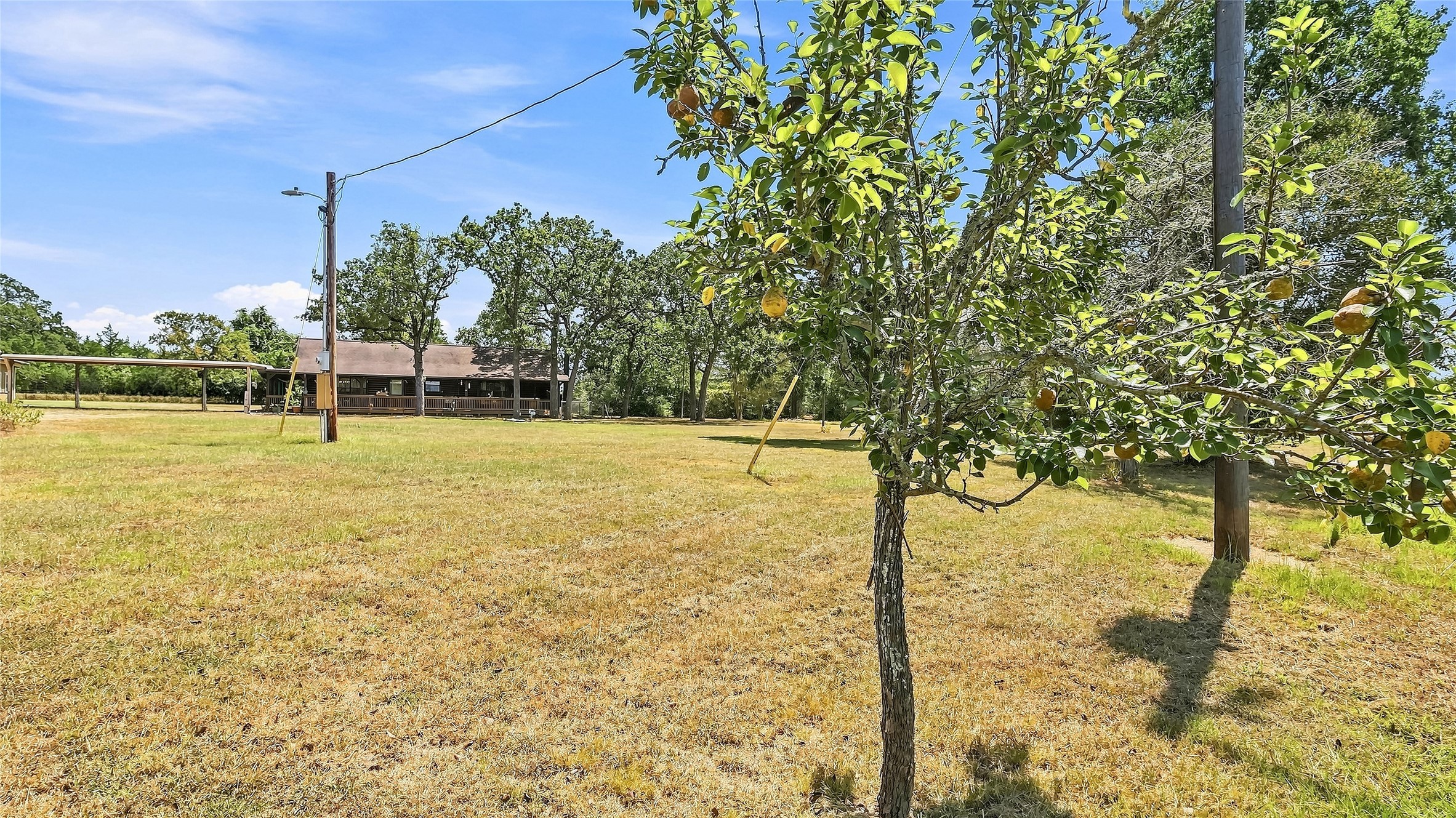 4797 County Road 416 Property Photo 36
