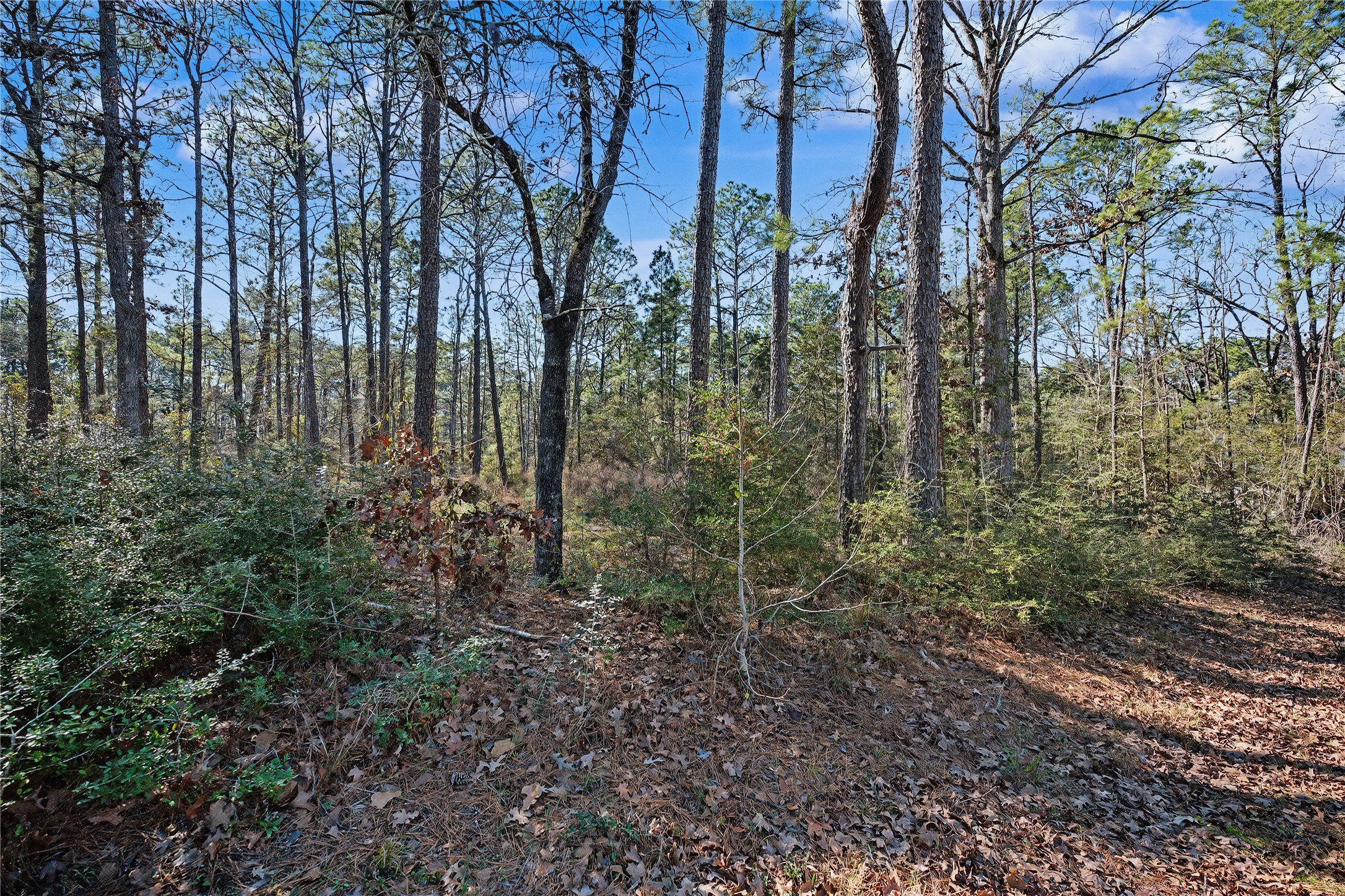 Pid #32465 Duffer Drive Property Photo 4