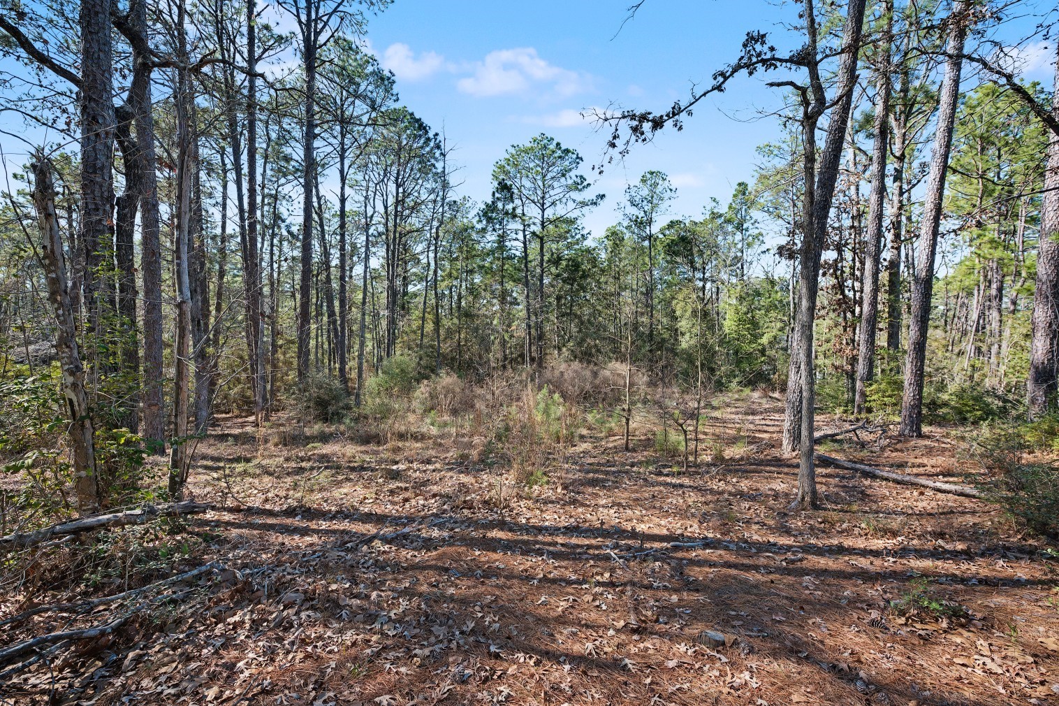 Pid #32465 Duffer Drive Property Photo 5