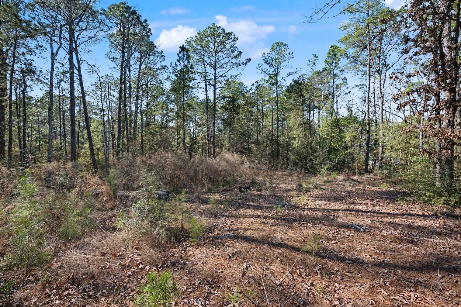 Pid #32465 Duffer Drive Property Photo 6