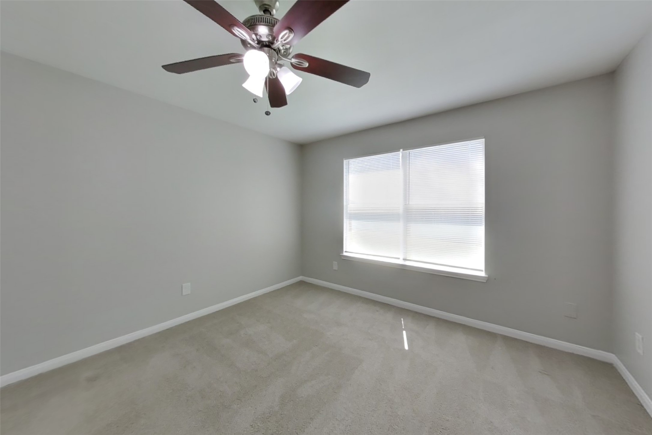 21402 Palma Grove Way Property Photo 7