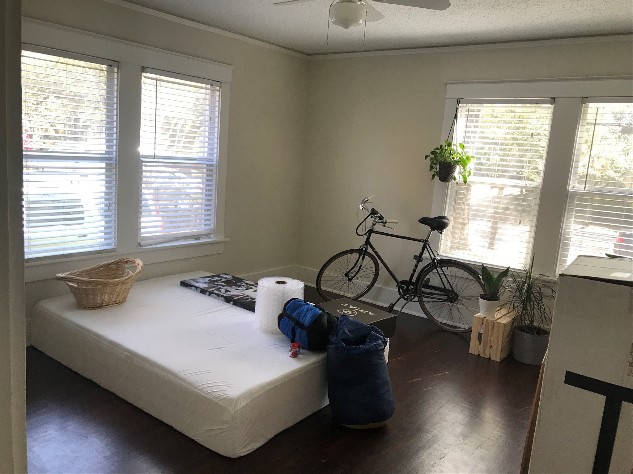 2030 Bissonnet Street Property Photo 10