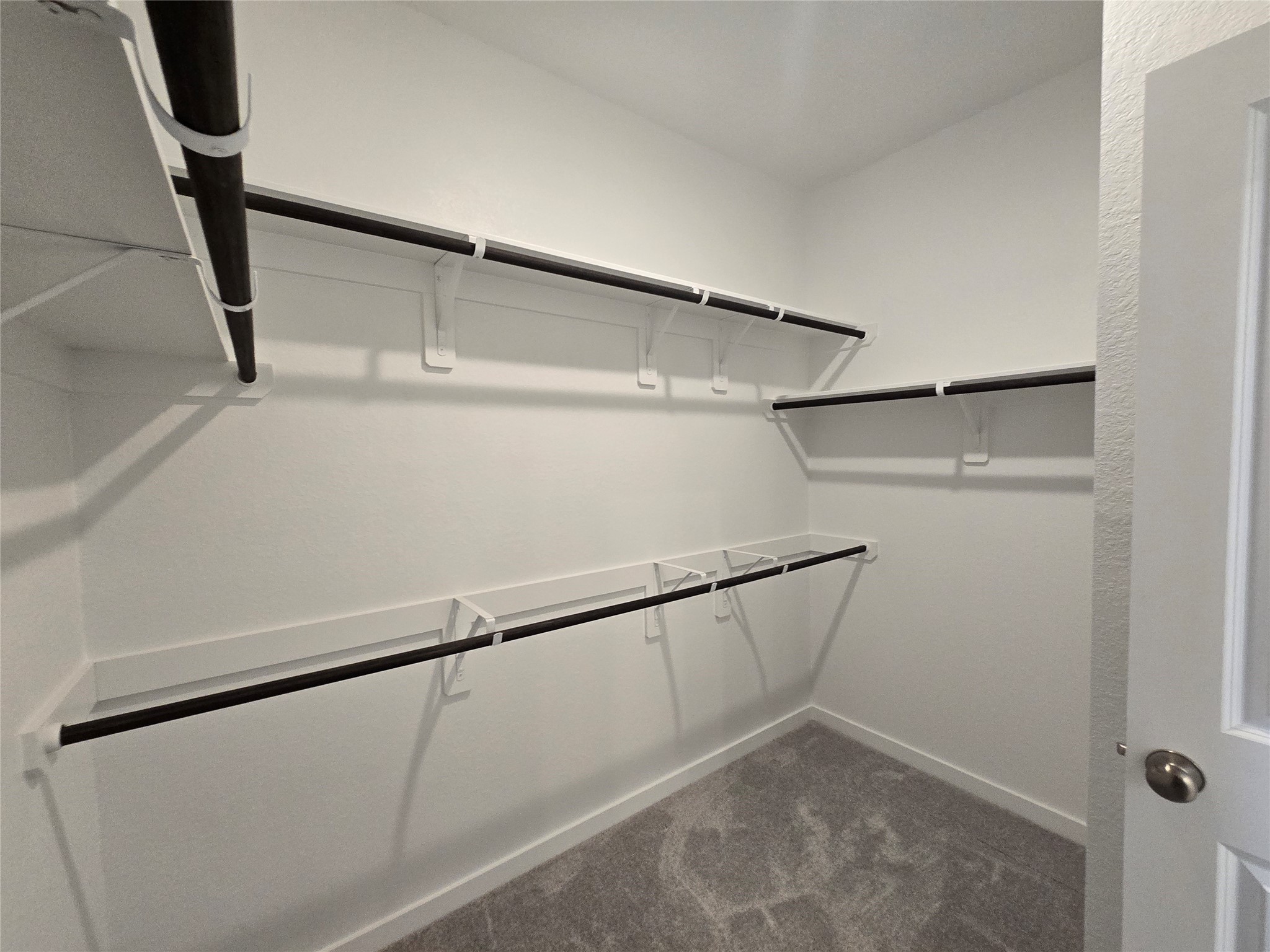 6551 Olive Twilight Lane Property Photo 11