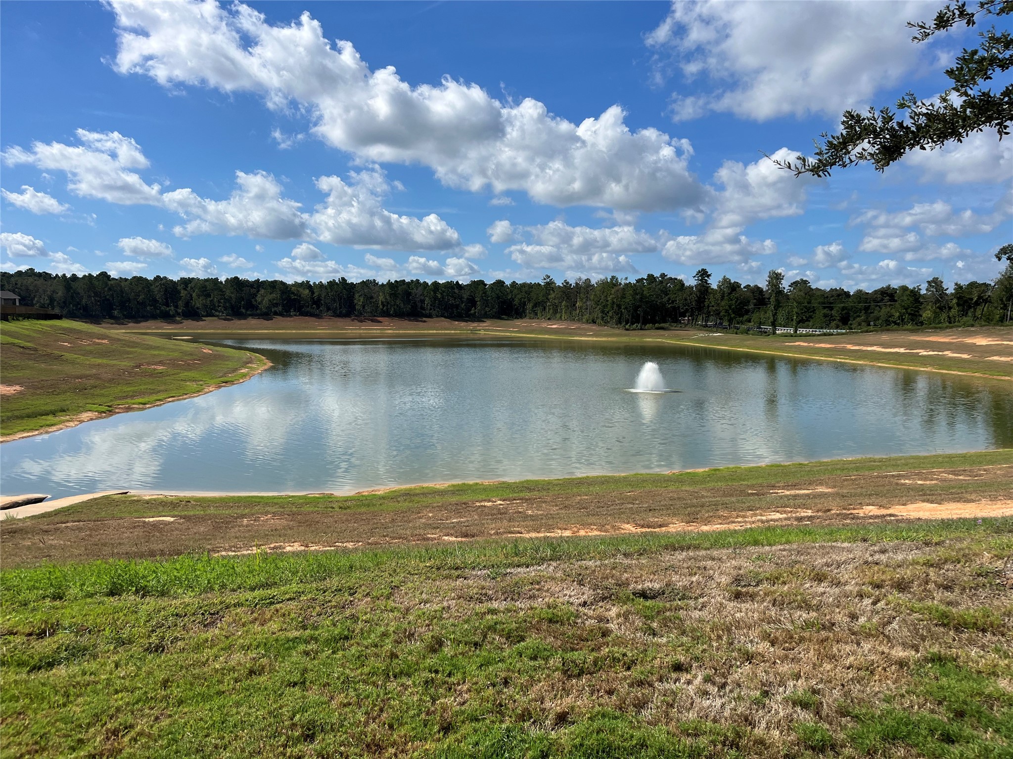 16154 Sugar Falls Drive Property Photo 14