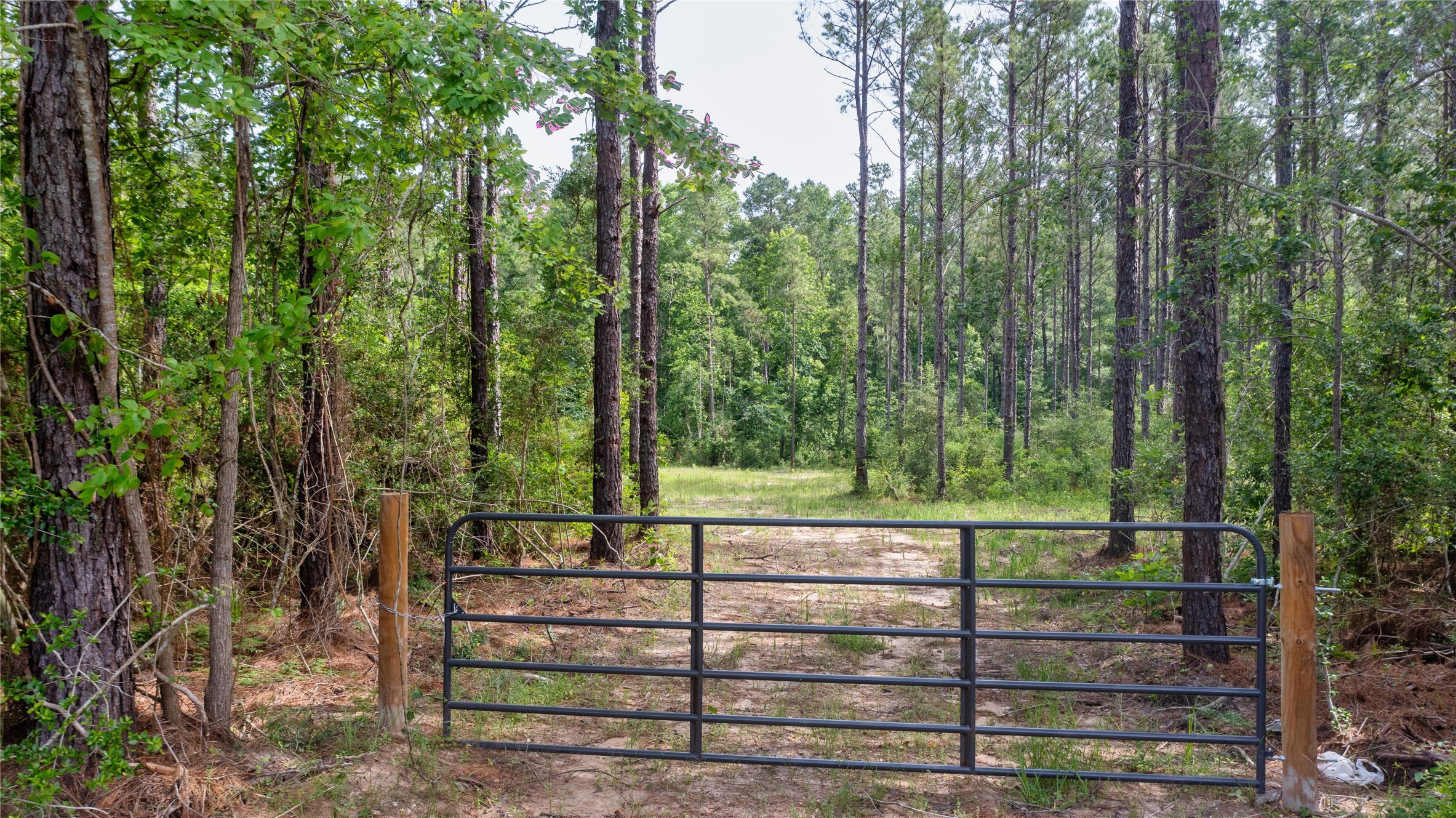 Tract 2 Fm 942 Property Photo 3