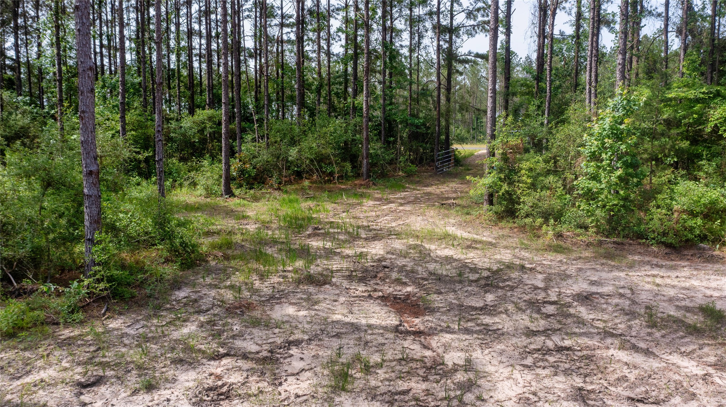 Tract 2 Fm 942 Property Photo 6