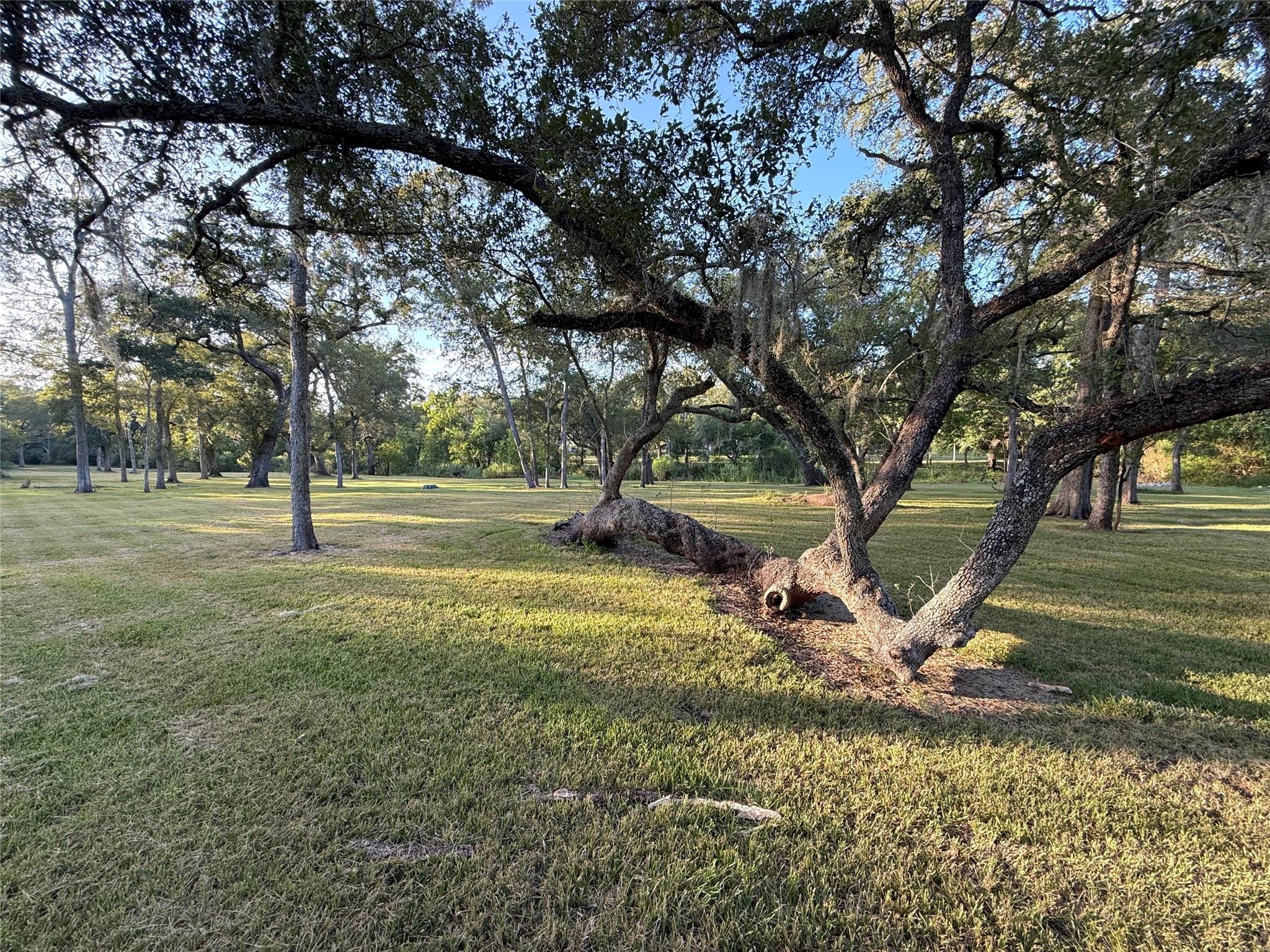 0 River Oaks Road Property Photo 1