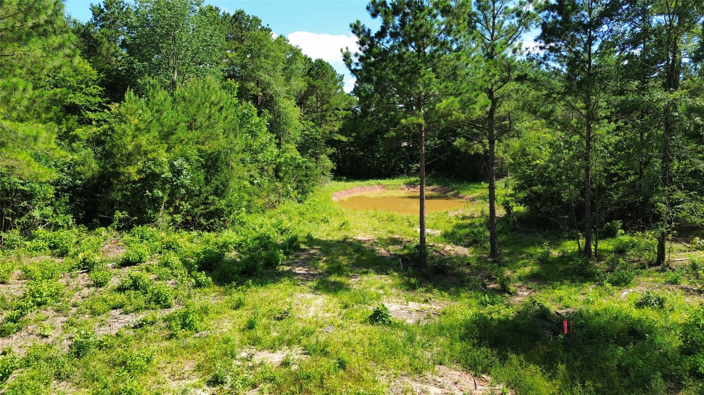 340 County Road 4872 Property Photo 1