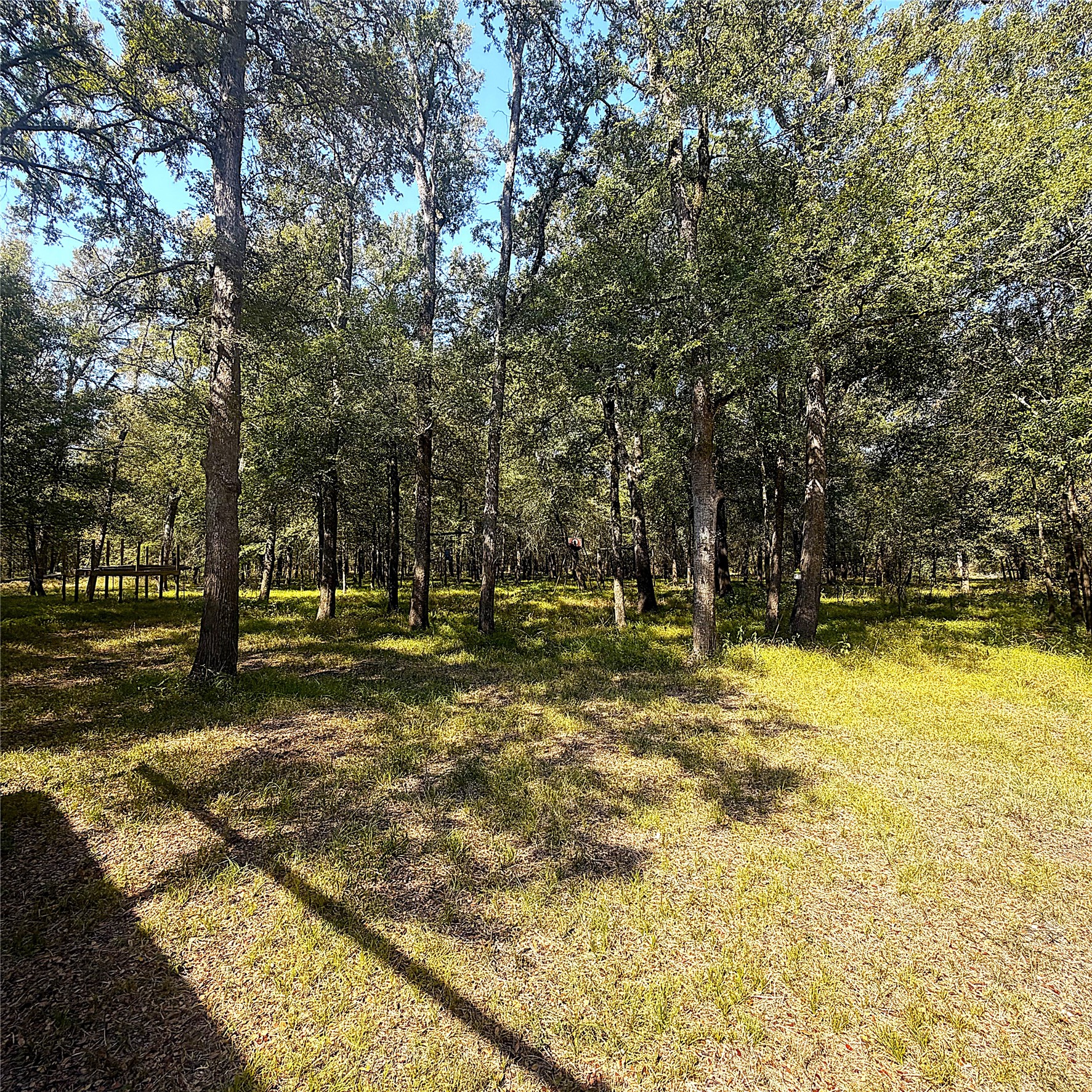 7991 Pr 1235 Property Photo 24