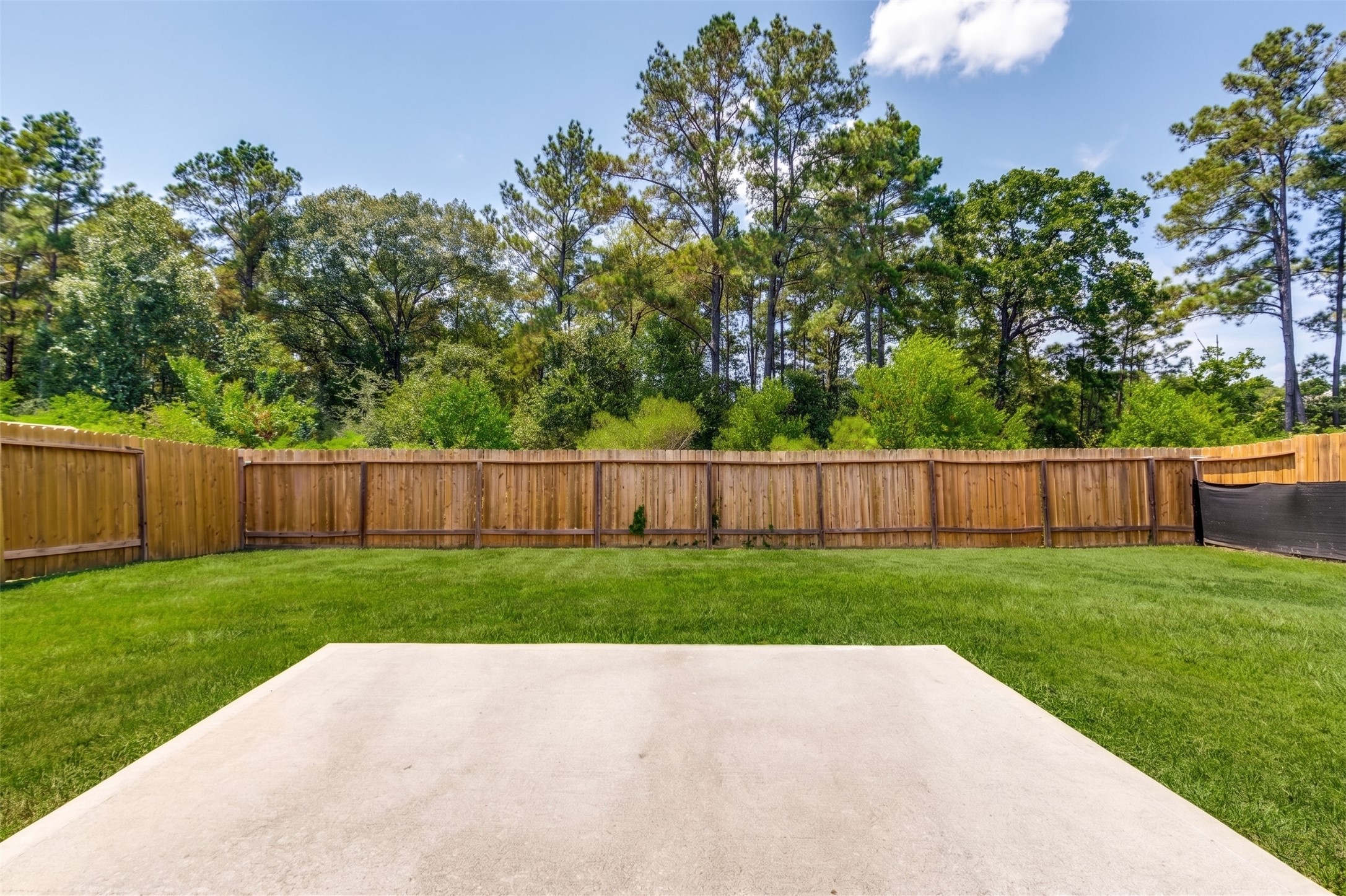 23104 Shakespeare Drive Property Photo 21