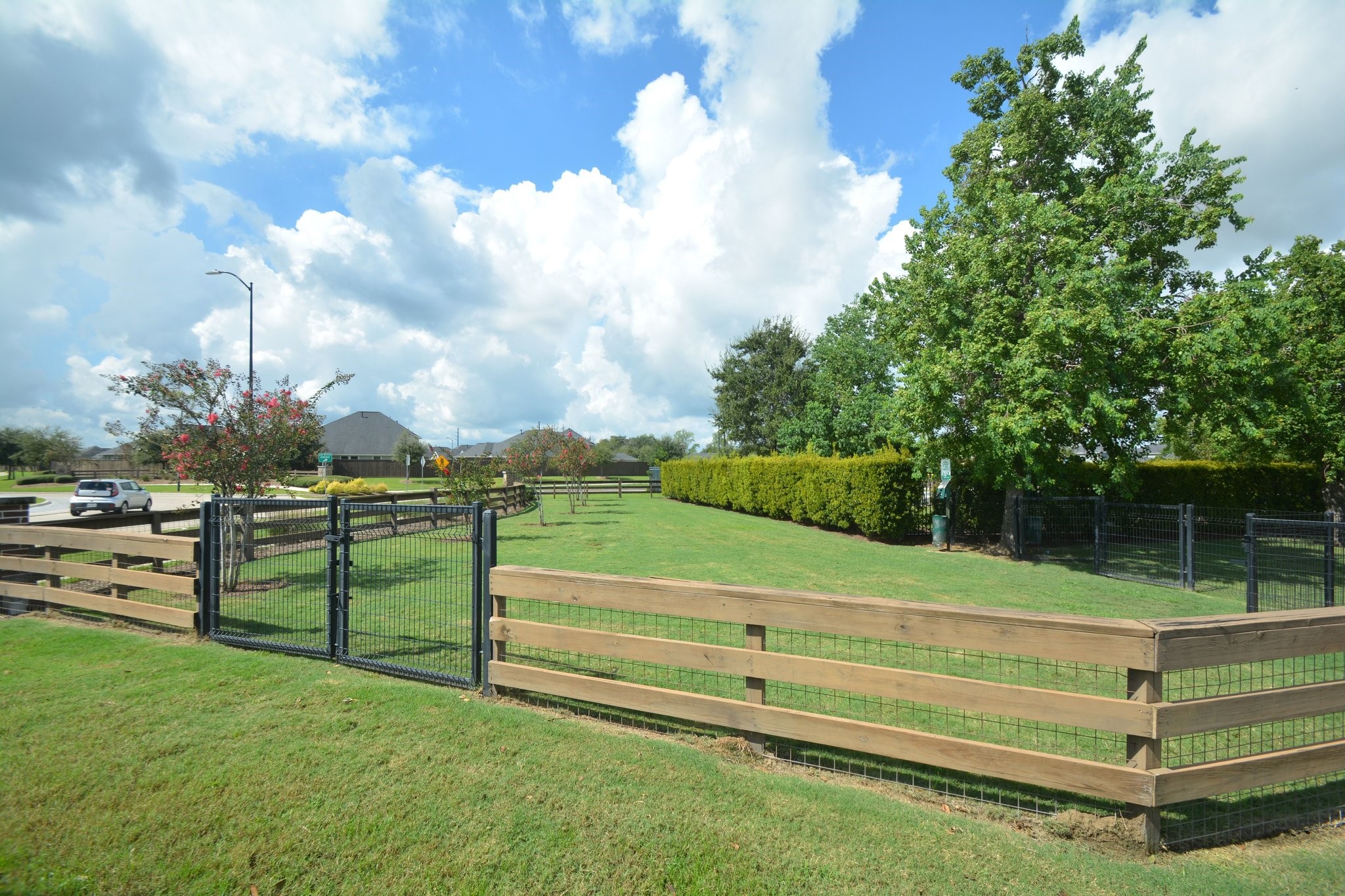 31307 Brown Fern Drive Property Photo 35