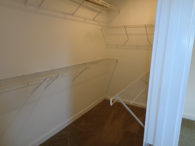 117 Willard Street Property Photo 18