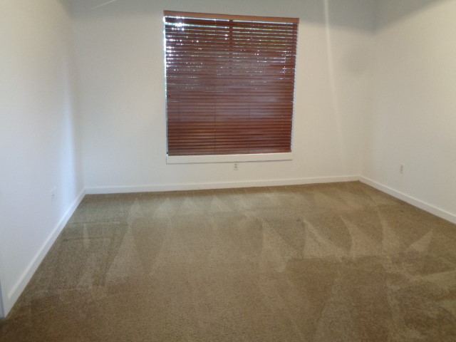 117 Willard Street Property Photo 25