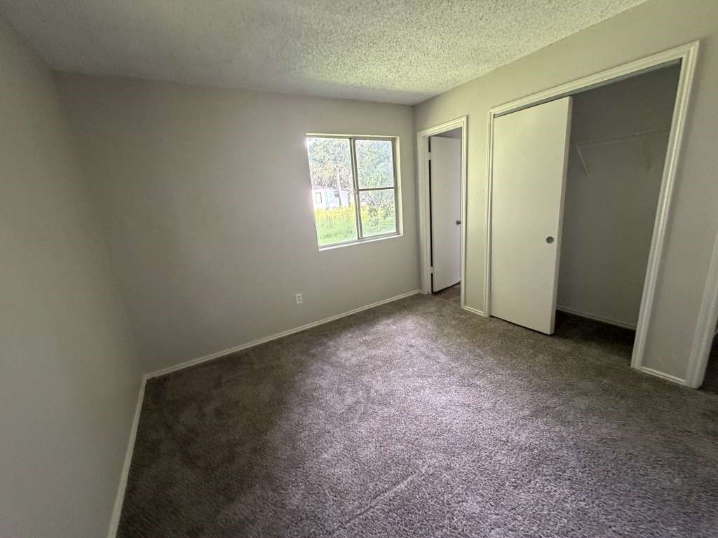 13623 Hb Collins Court Property Photo 7