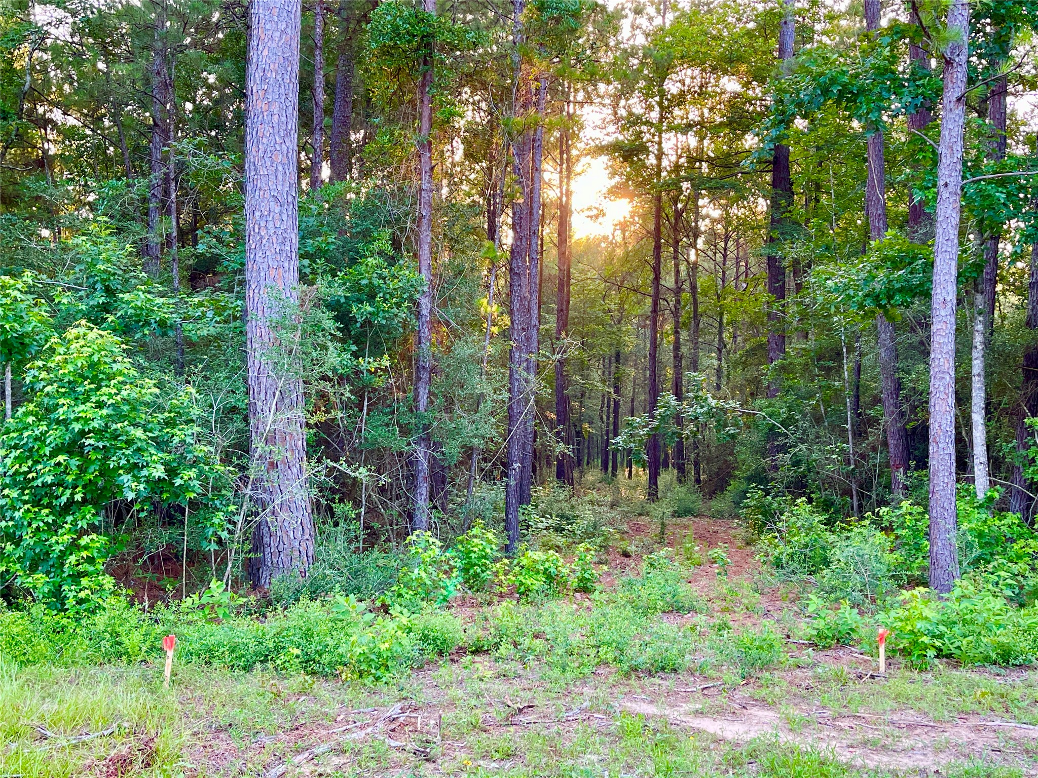 1-1-31 Texas Grand Road Property Photo 1