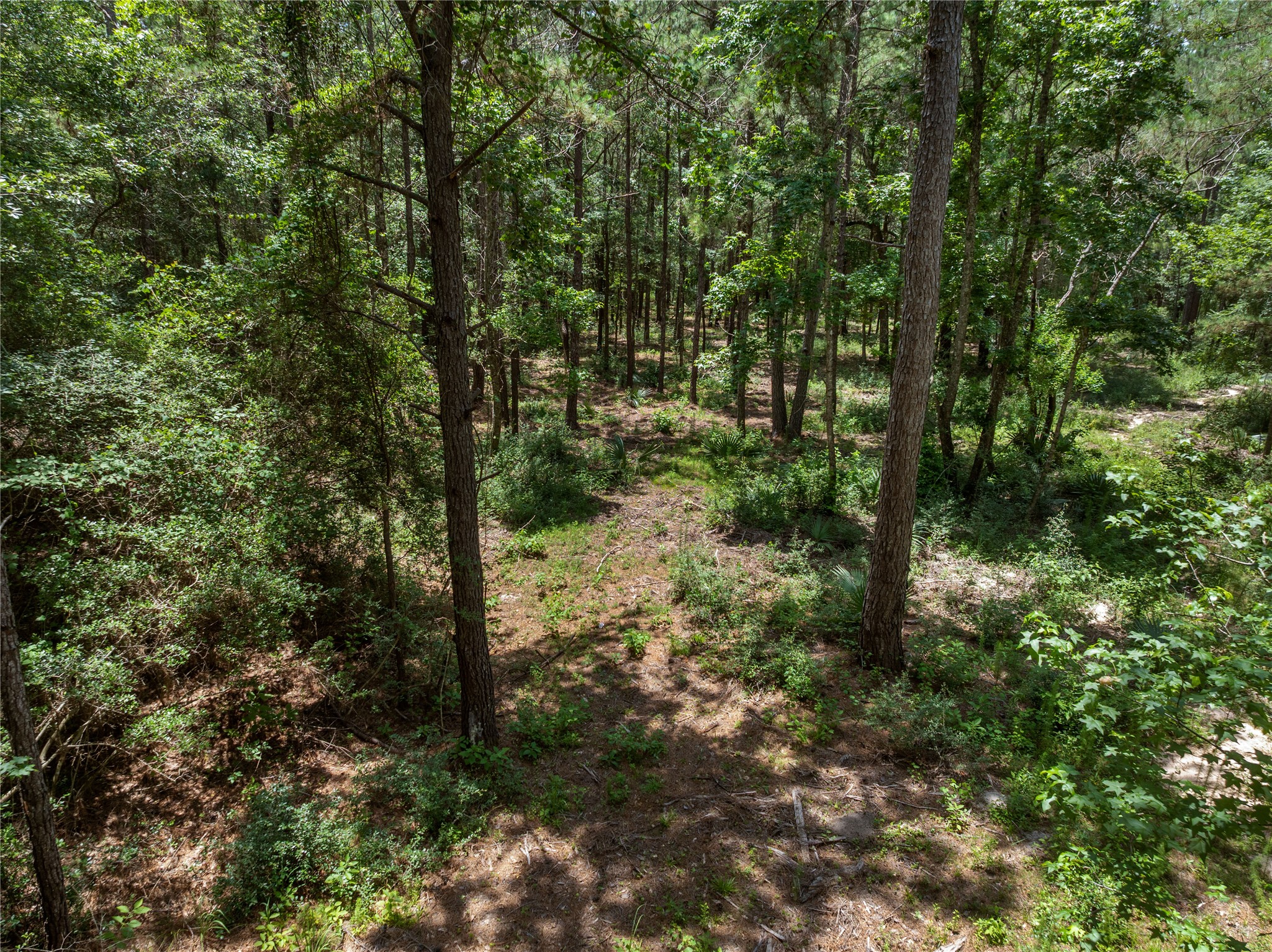1-1-31 Texas Grand Road Property Photo 5