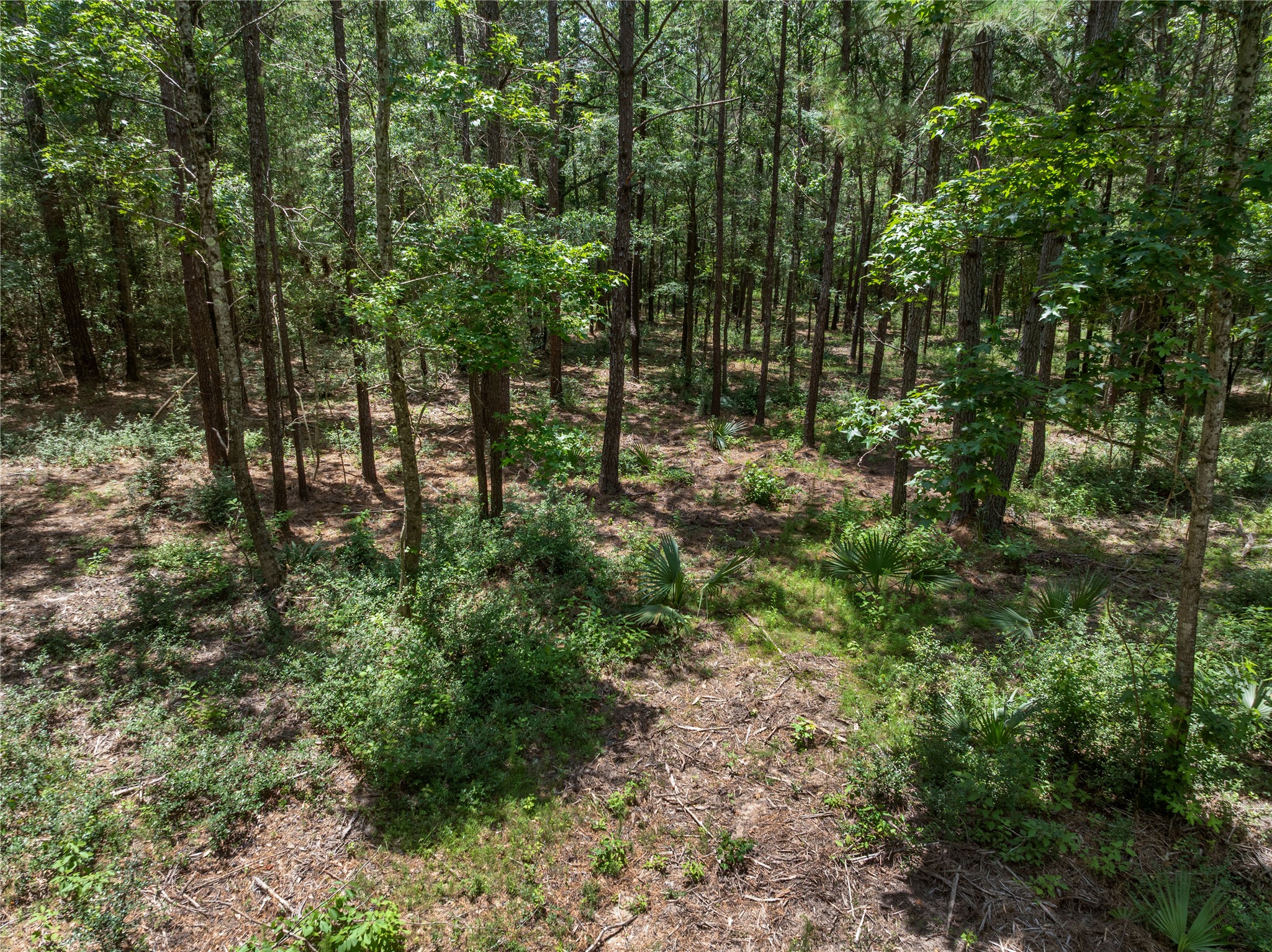 1-1-31 Texas Grand Road Property Photo 6