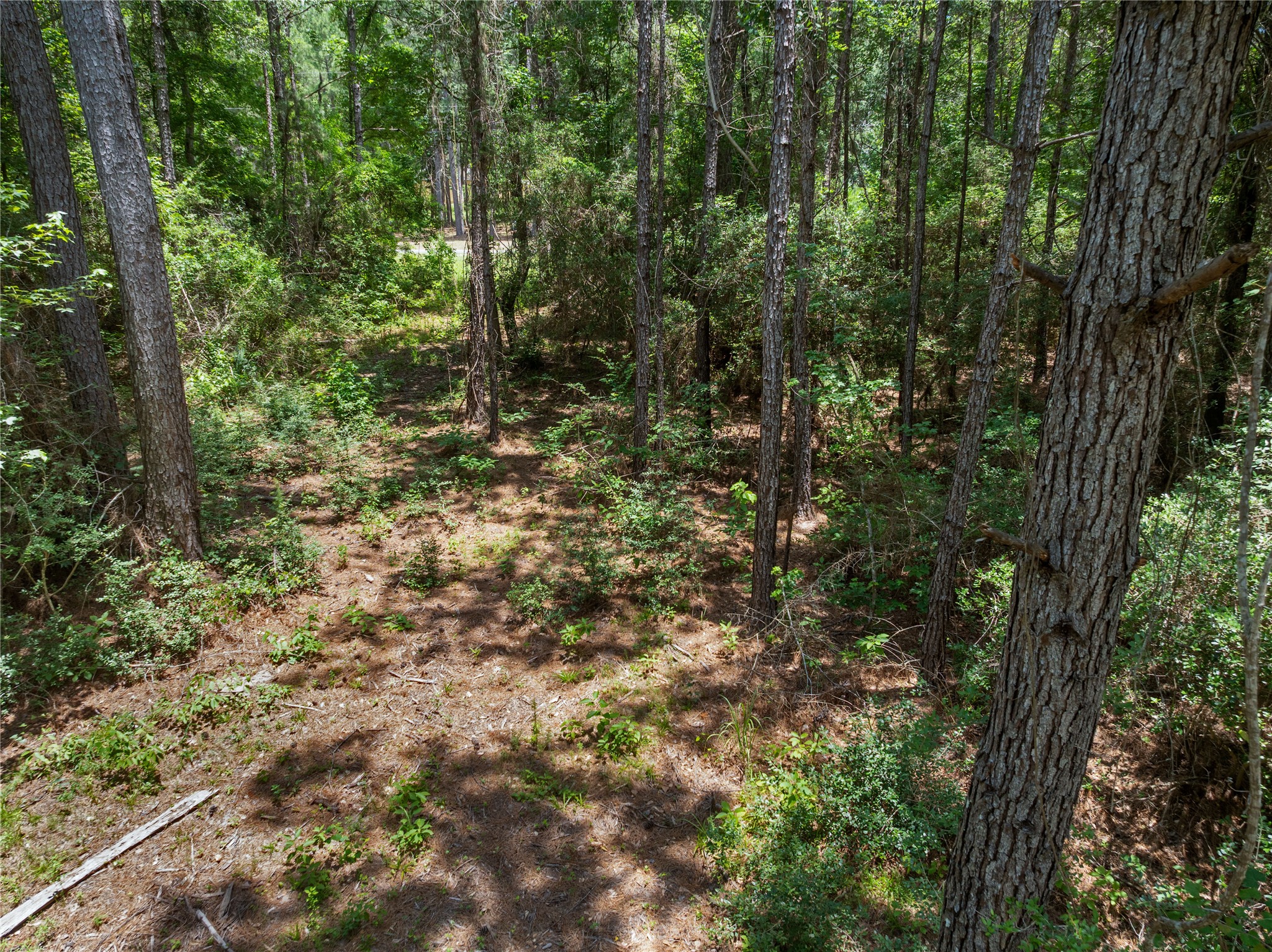 1-1-31 Texas Grand Road Property Photo 7