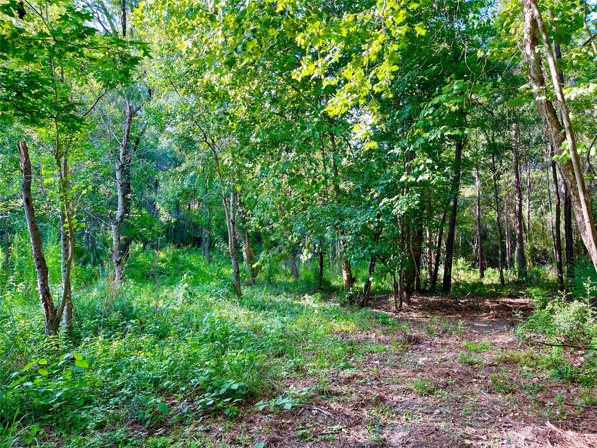 1-1-31 Texas Grand Road Property Photo 9
