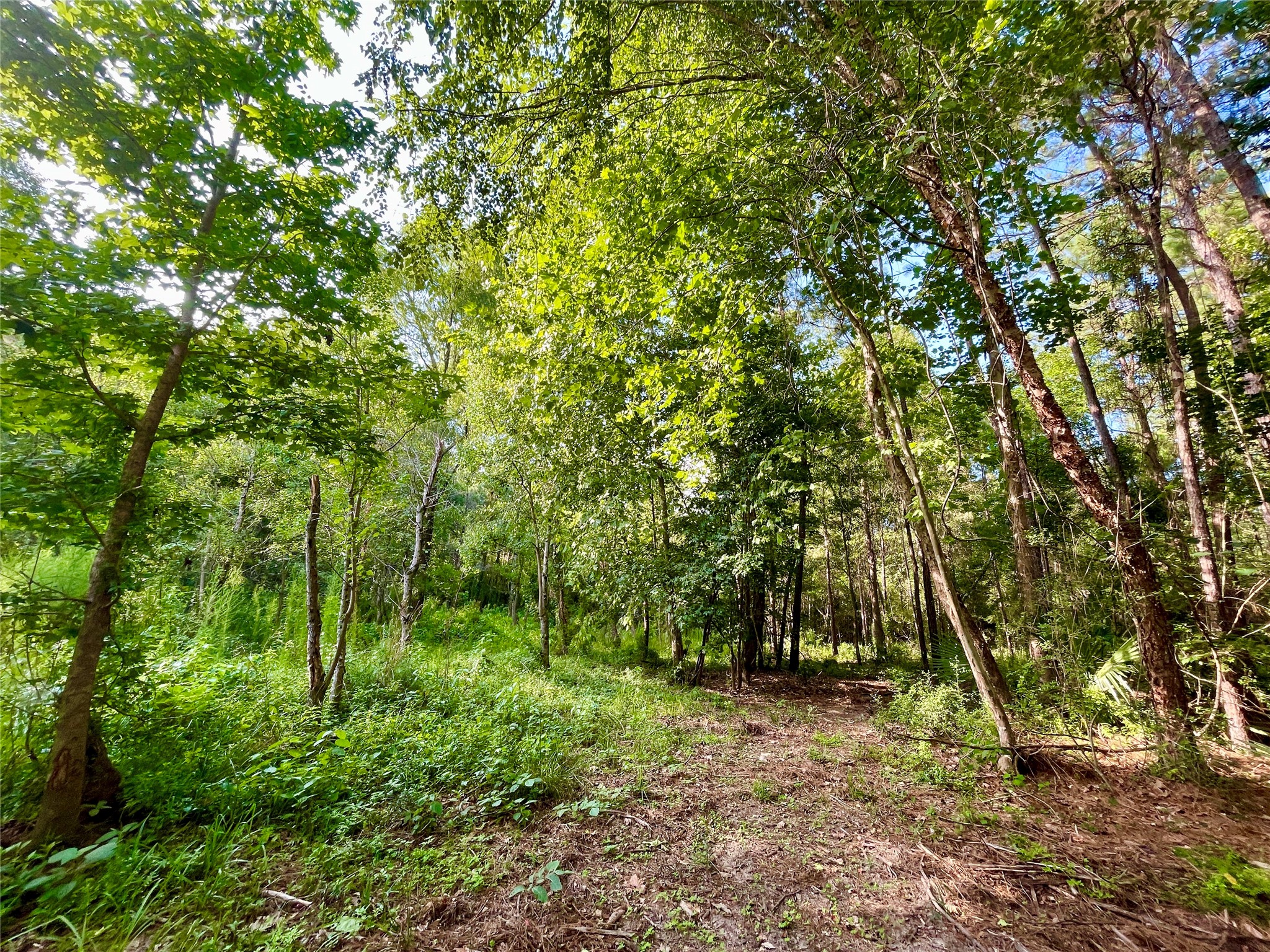 1-1-31 Texas Grand Road Property Photo 10