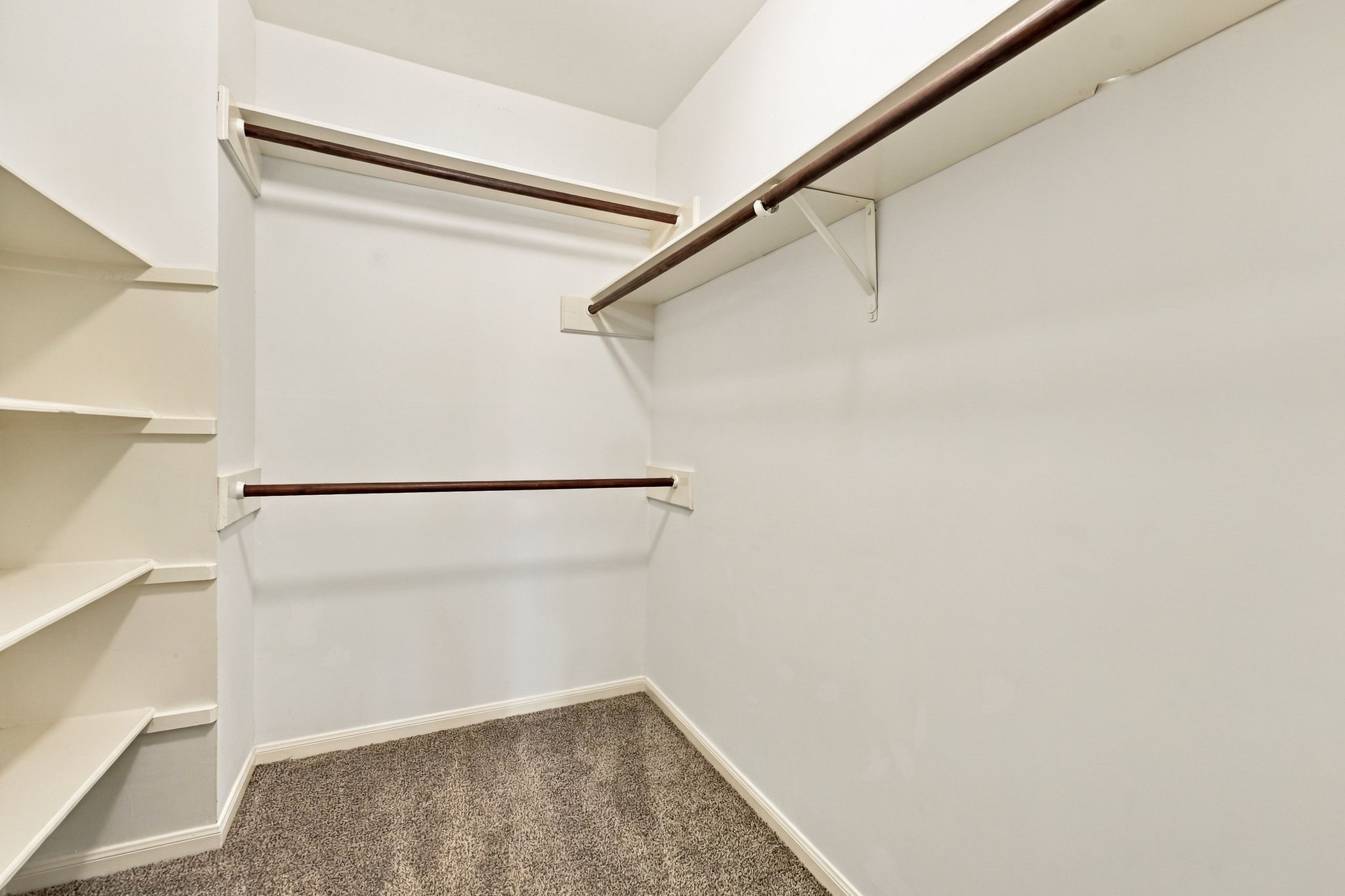 11310 Olympia Drive Property Photo 22