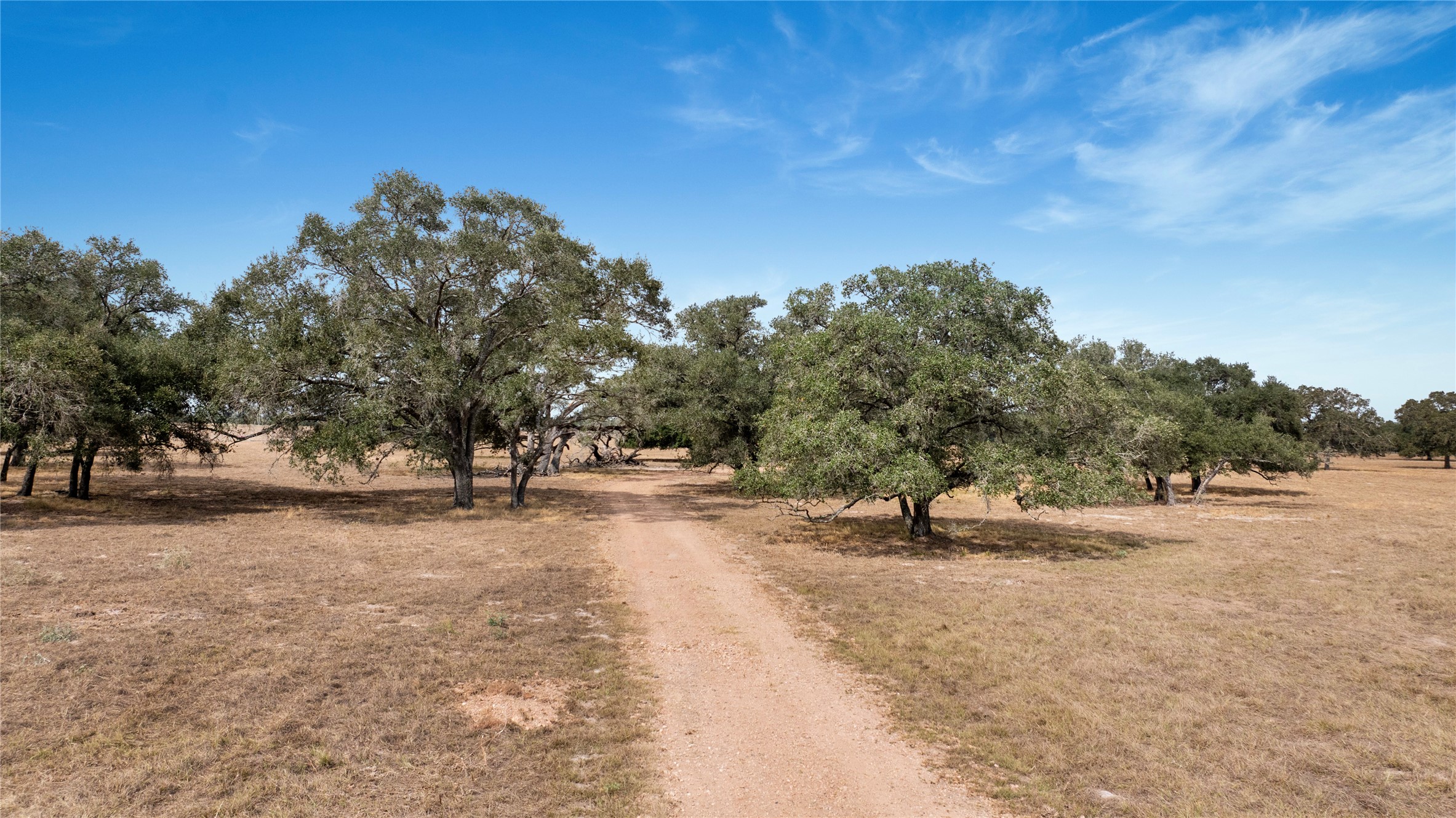 13320 Us Highway 77 S Property Photo 1