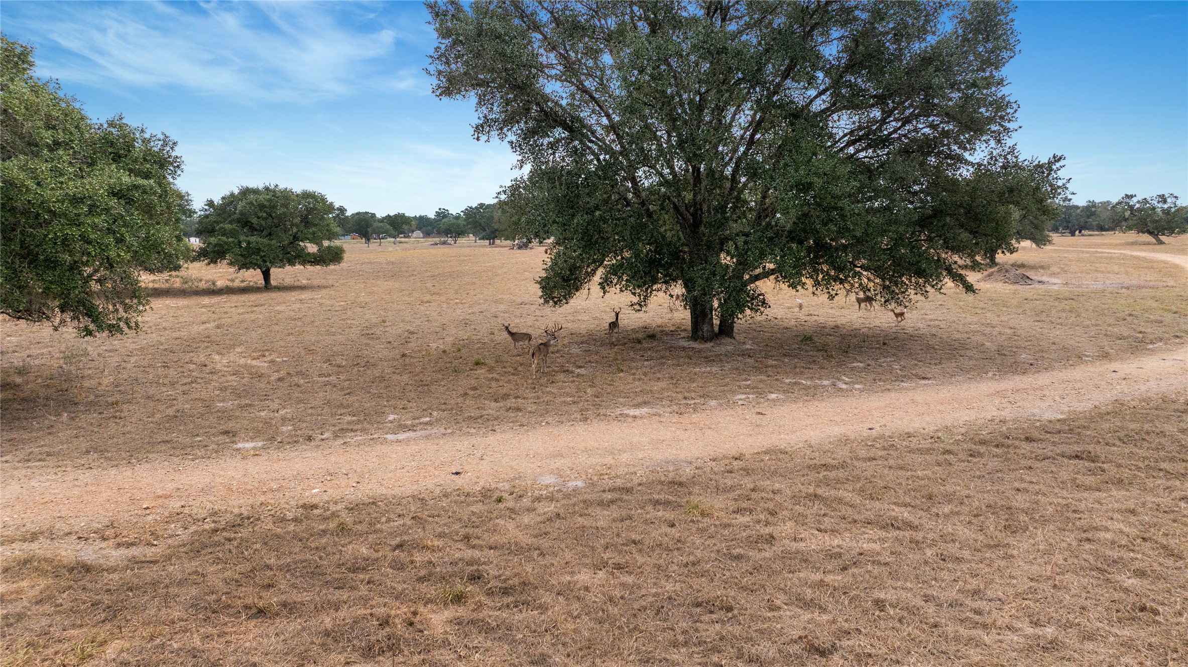13320 Us Highway 77 S Property Photo 11