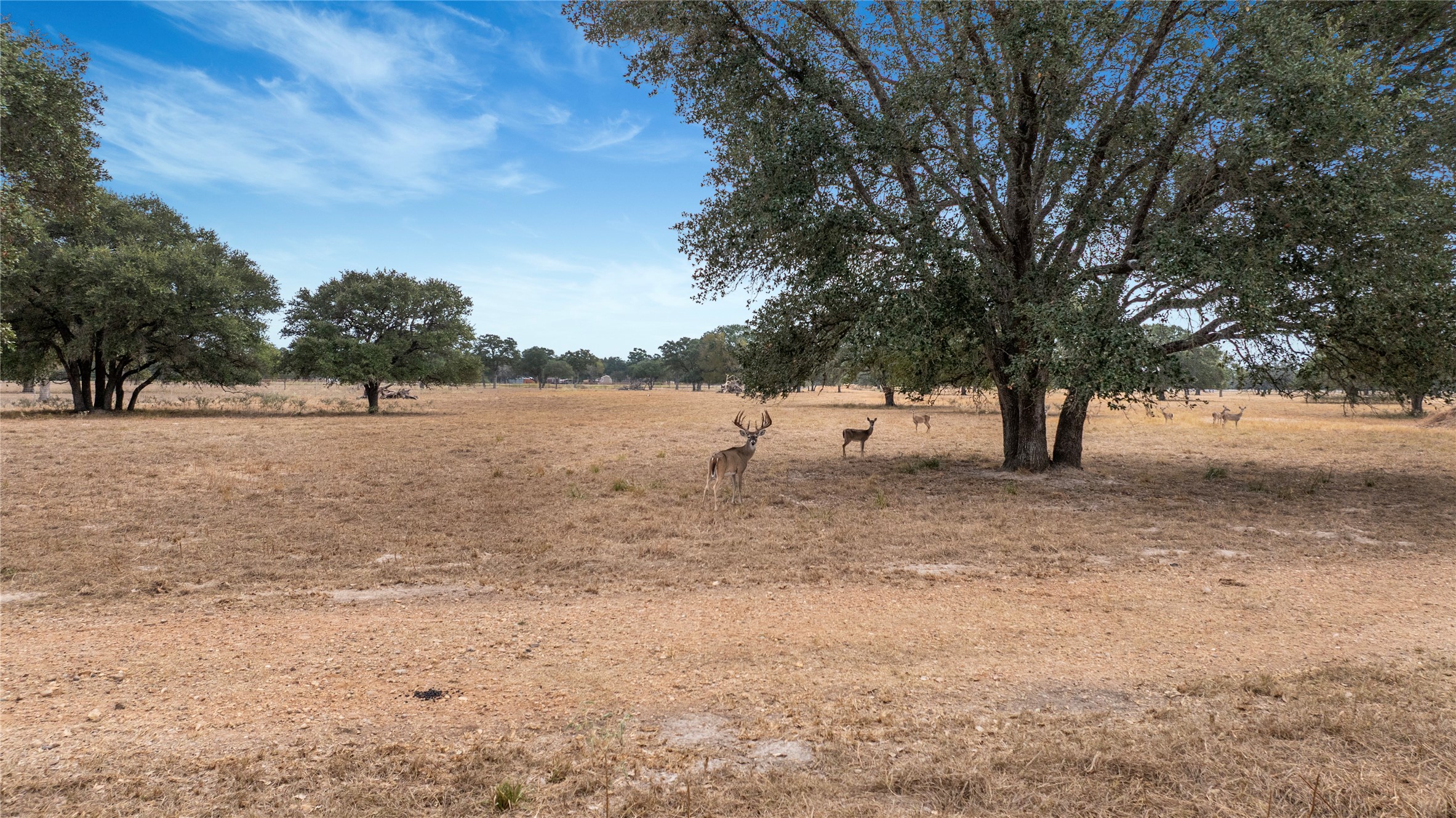 13320 Us Highway 77 S Property Photo 12