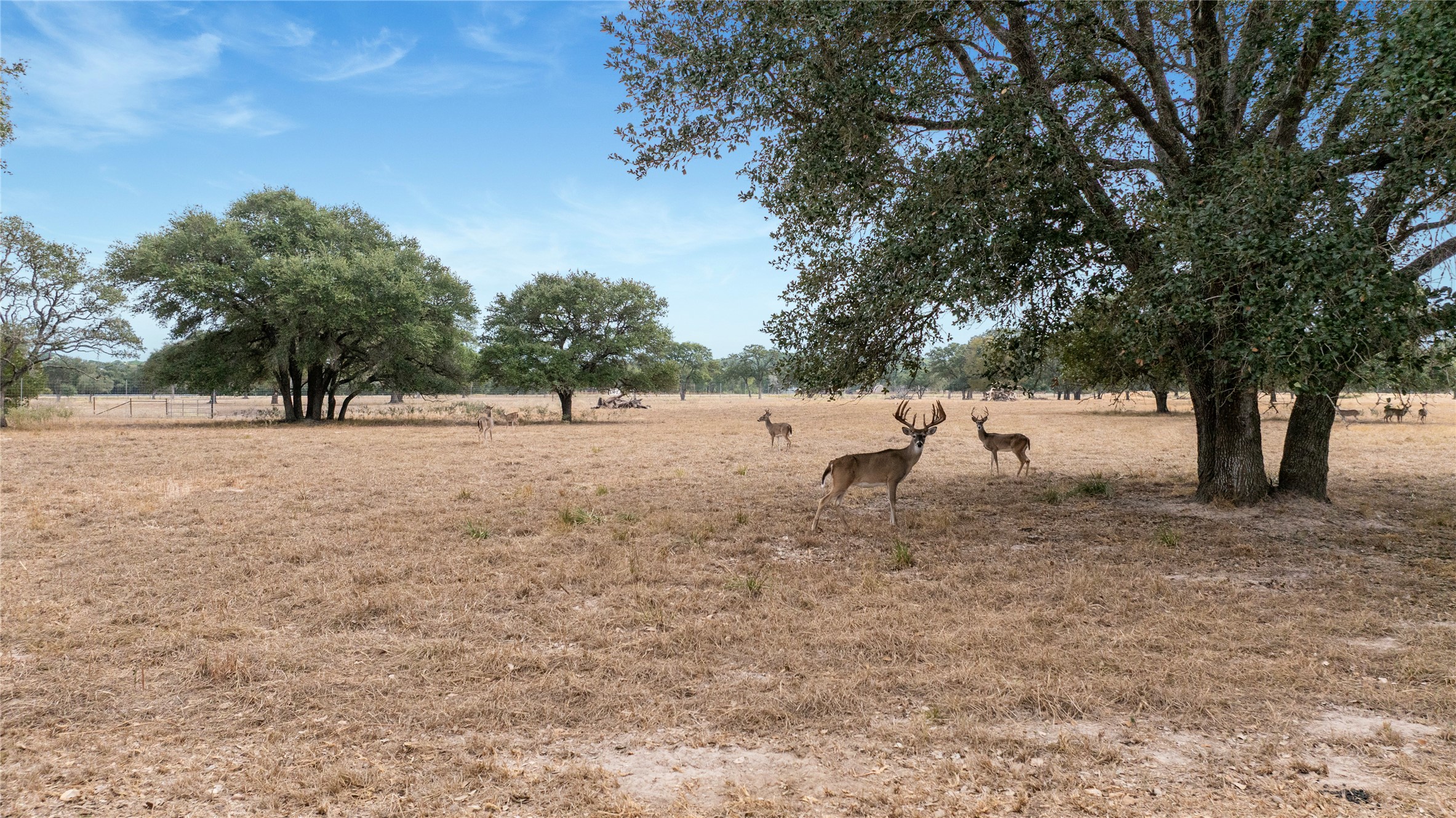 13320 Us Highway 77 S Property Photo 15