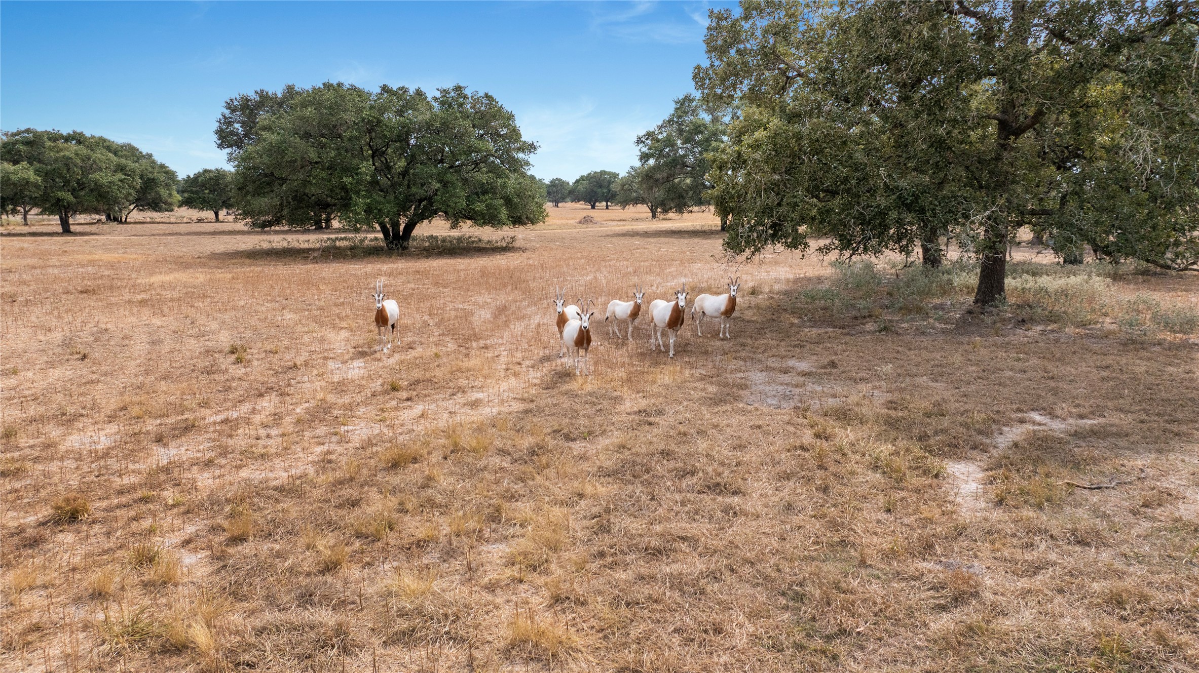 13320 Us Highway 77 S Property Photo 16