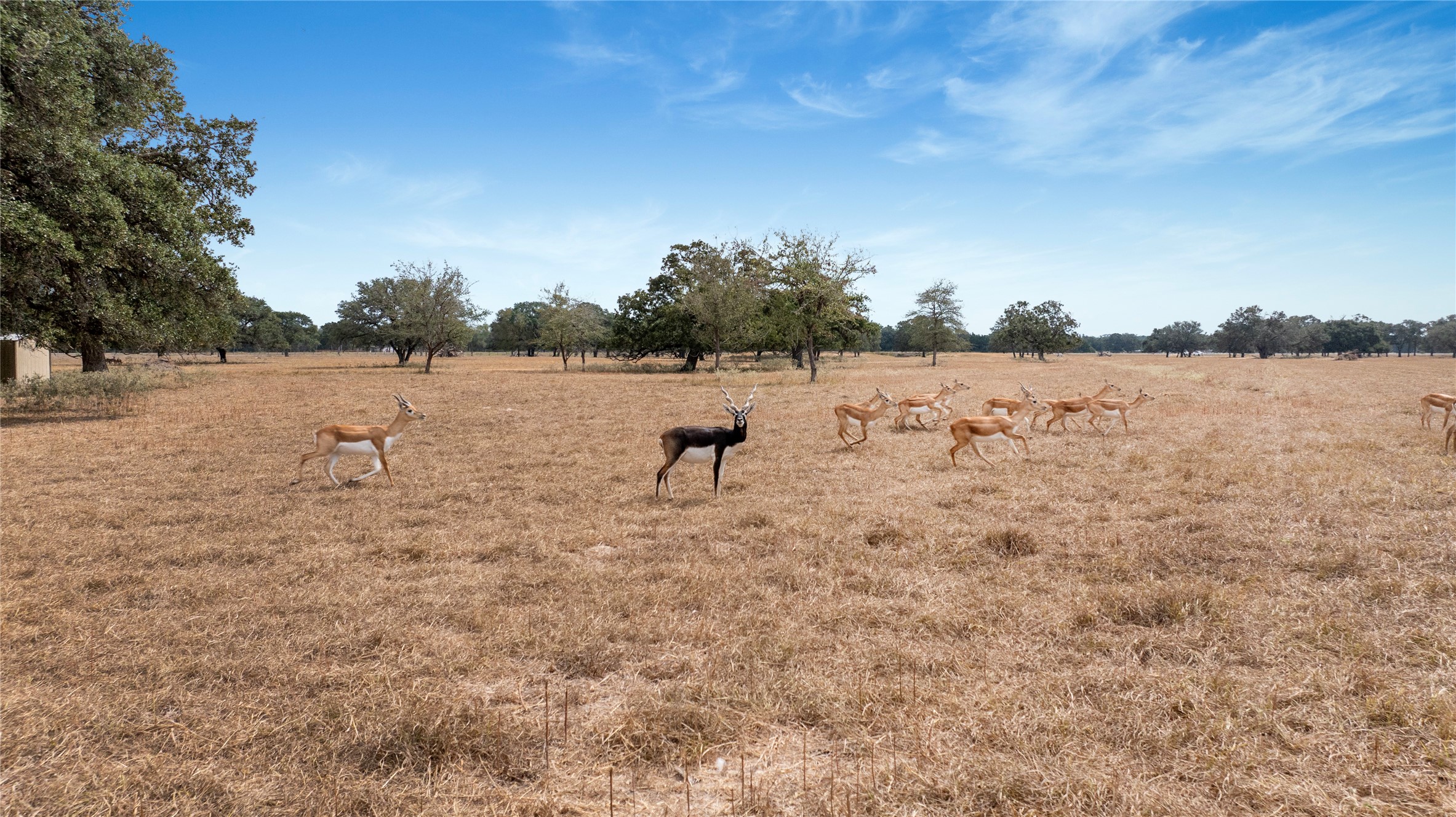 13320 Us Highway 77 S Property Photo 17
