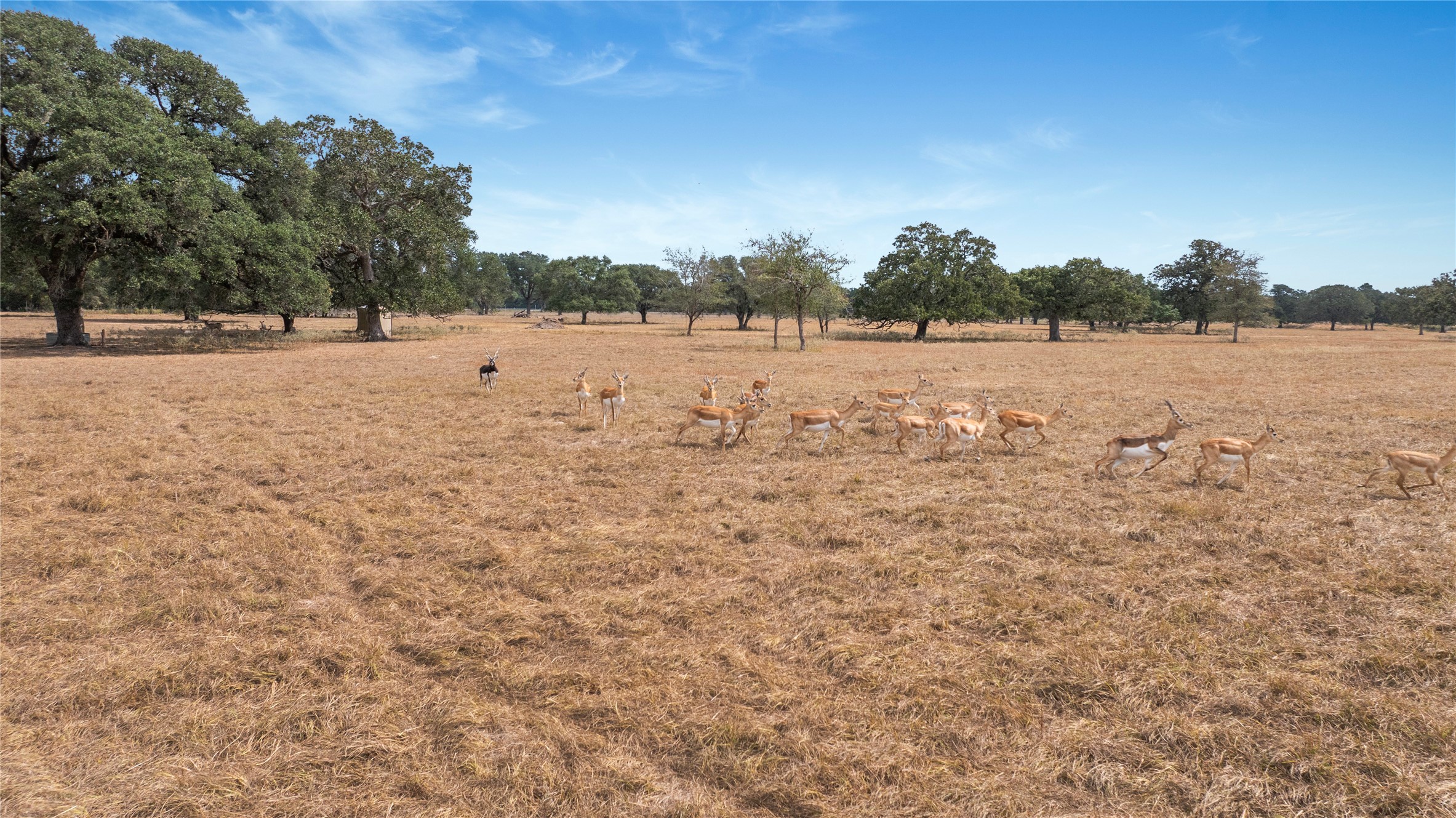 13320 Us Highway 77 S Property Photo 18