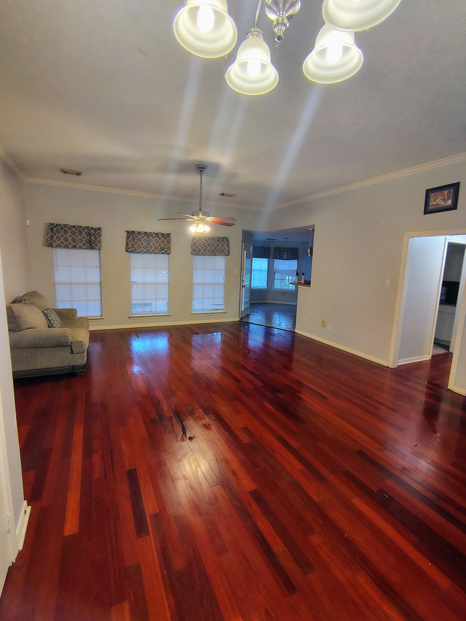 3443 Shore Shadows Drive Property Photo 9