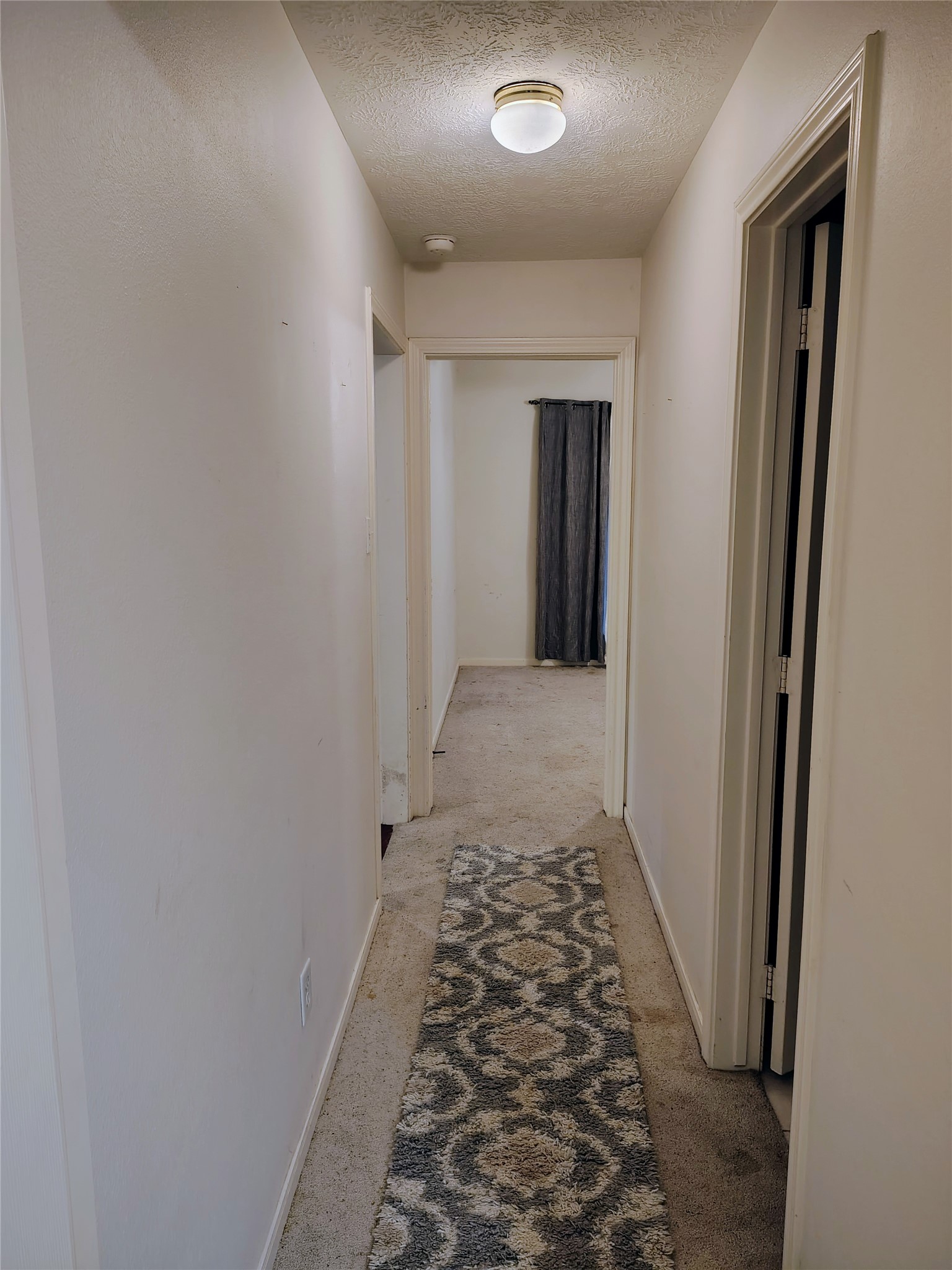 3443 Shore Shadows Drive Property Photo 17