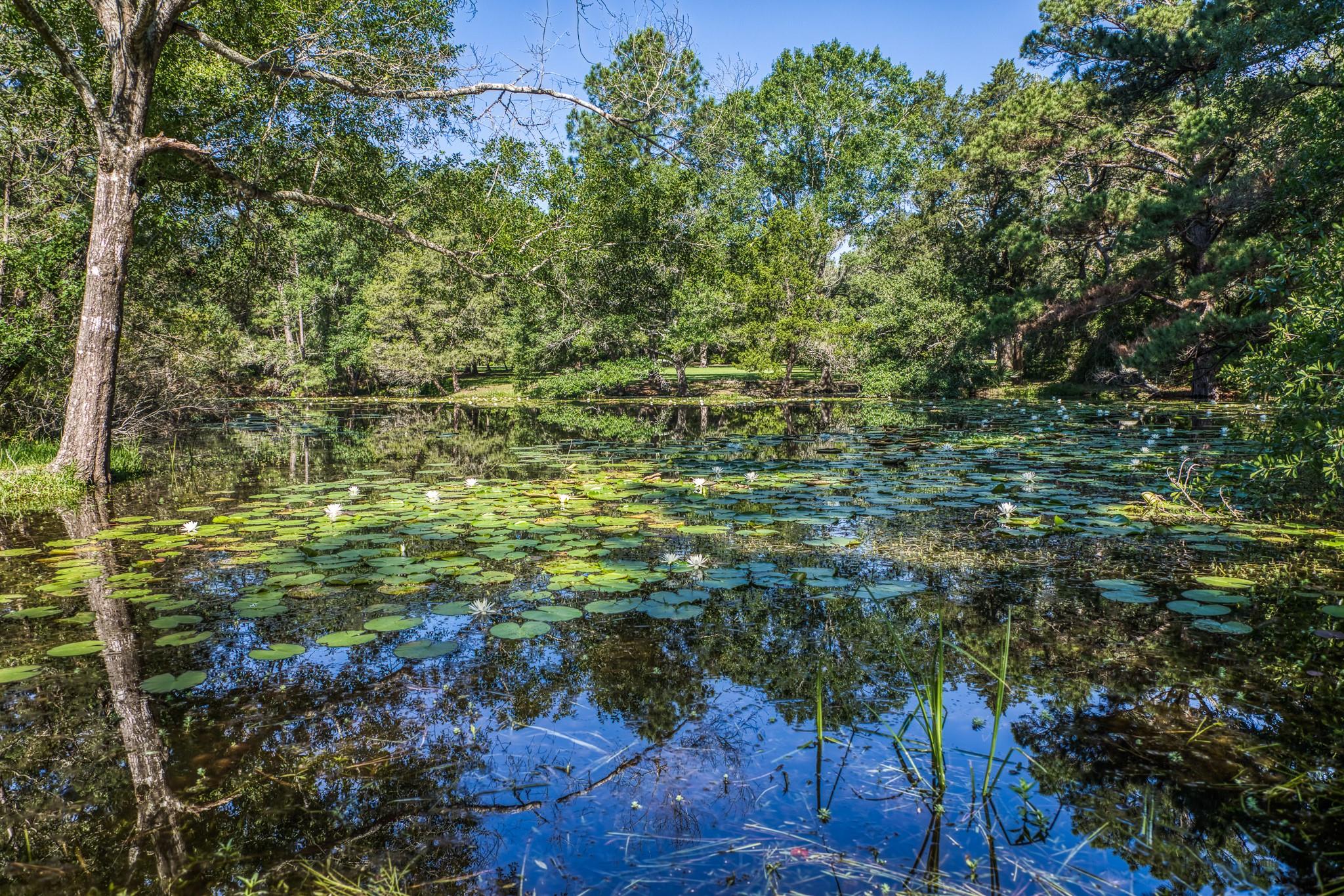 1017 Allen Road, Cat Spring Tx 78933 Property Photo 40