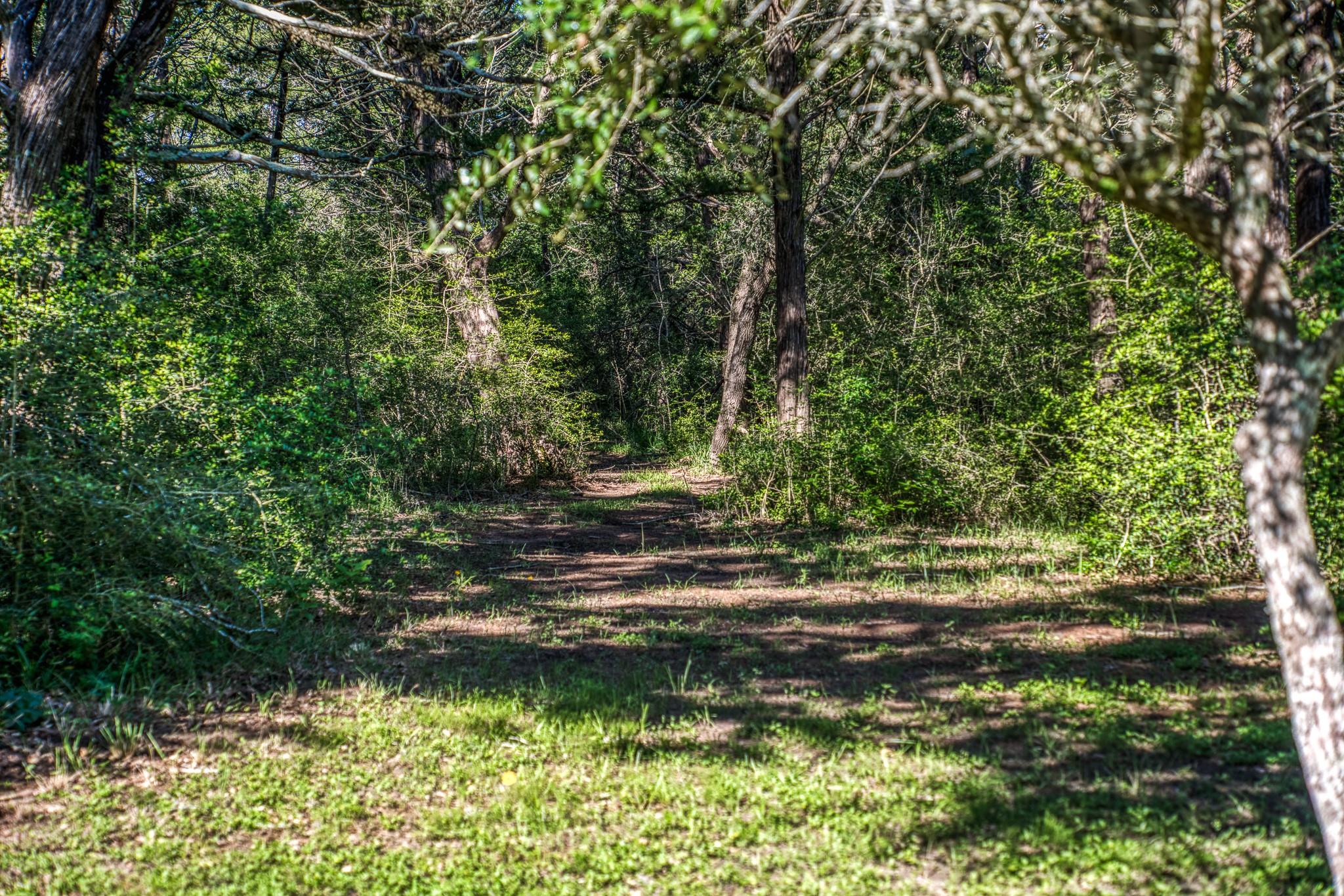 1017 Allen Road, Cat Spring Tx 78933 Property Photo 44