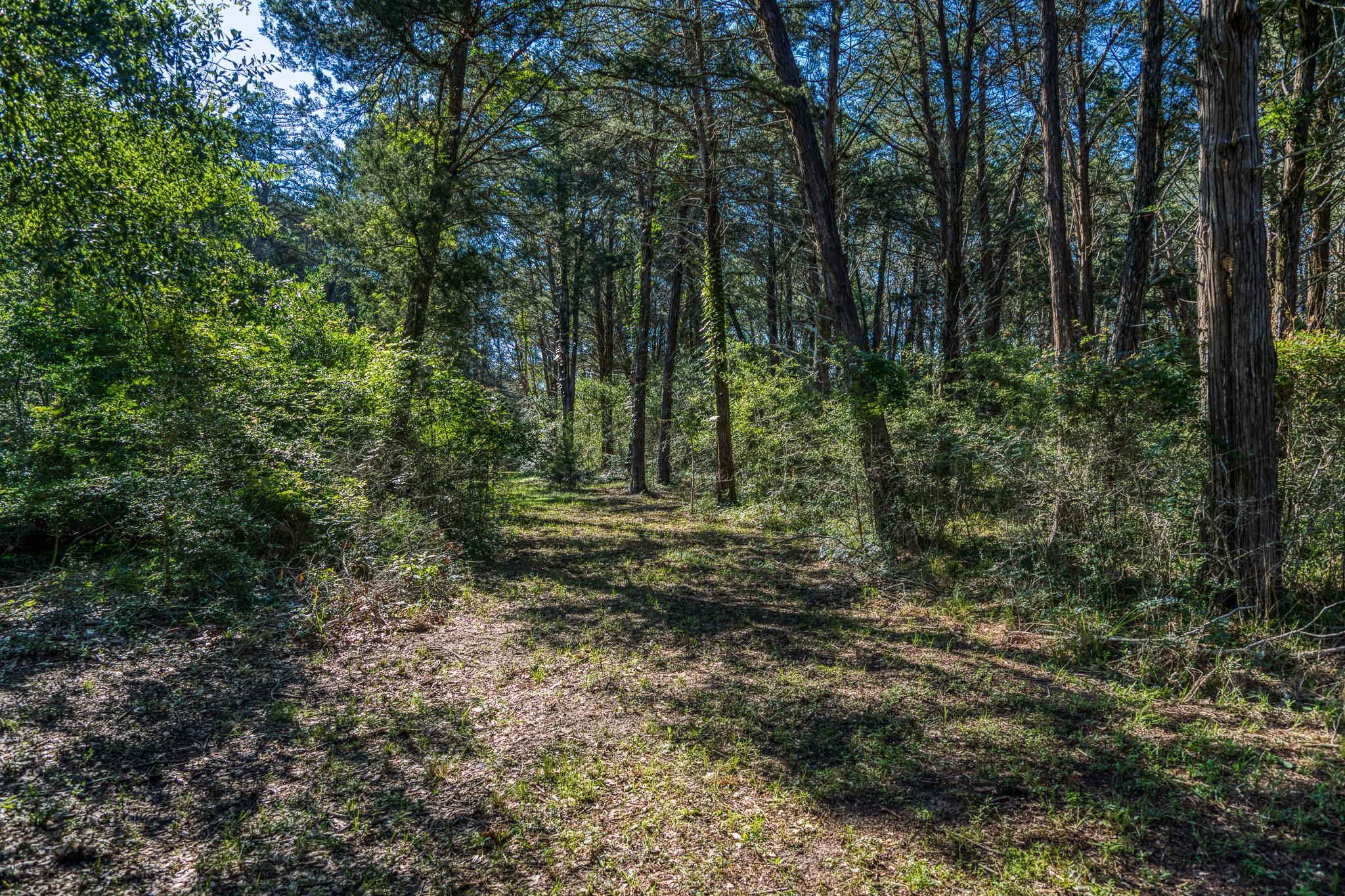 1017 Allen Road, Cat Spring Tx 78933 Property Photo 45