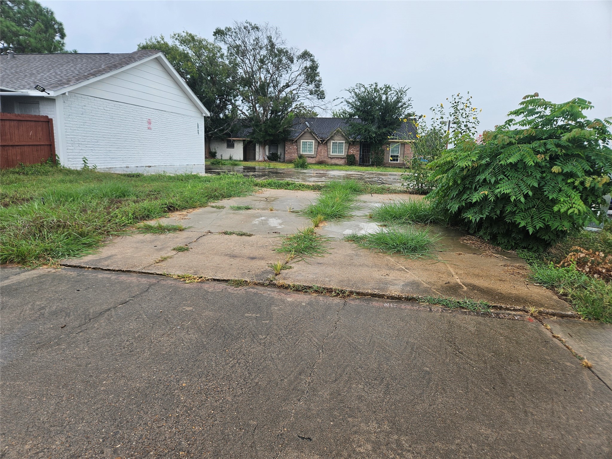 6867 Chasewood Drive Property Photo 8