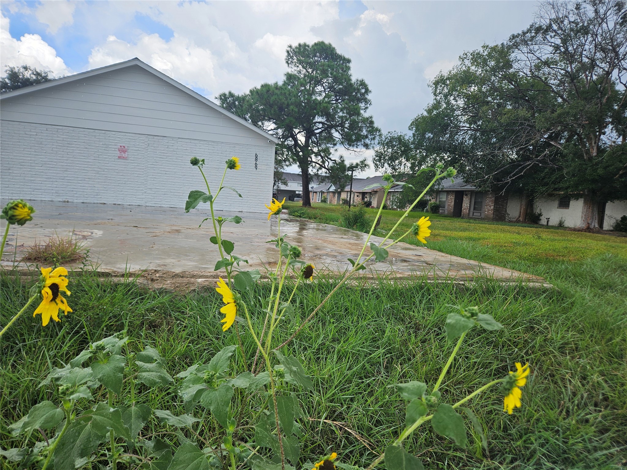 6867 Chasewood Drive Property Photo 18